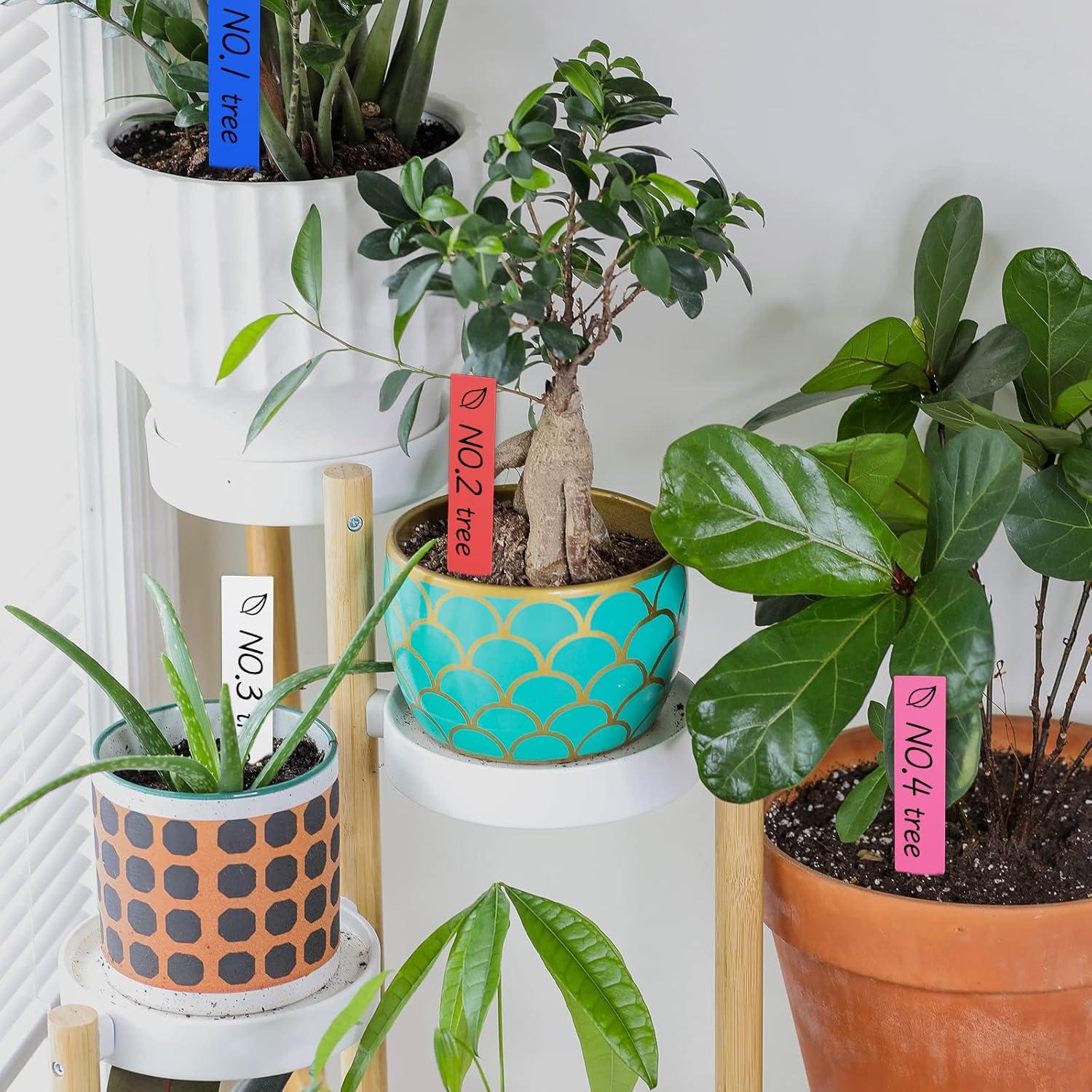 100 Etiquetas de Plantas Multicolor XGATML 10x2cm Plástico