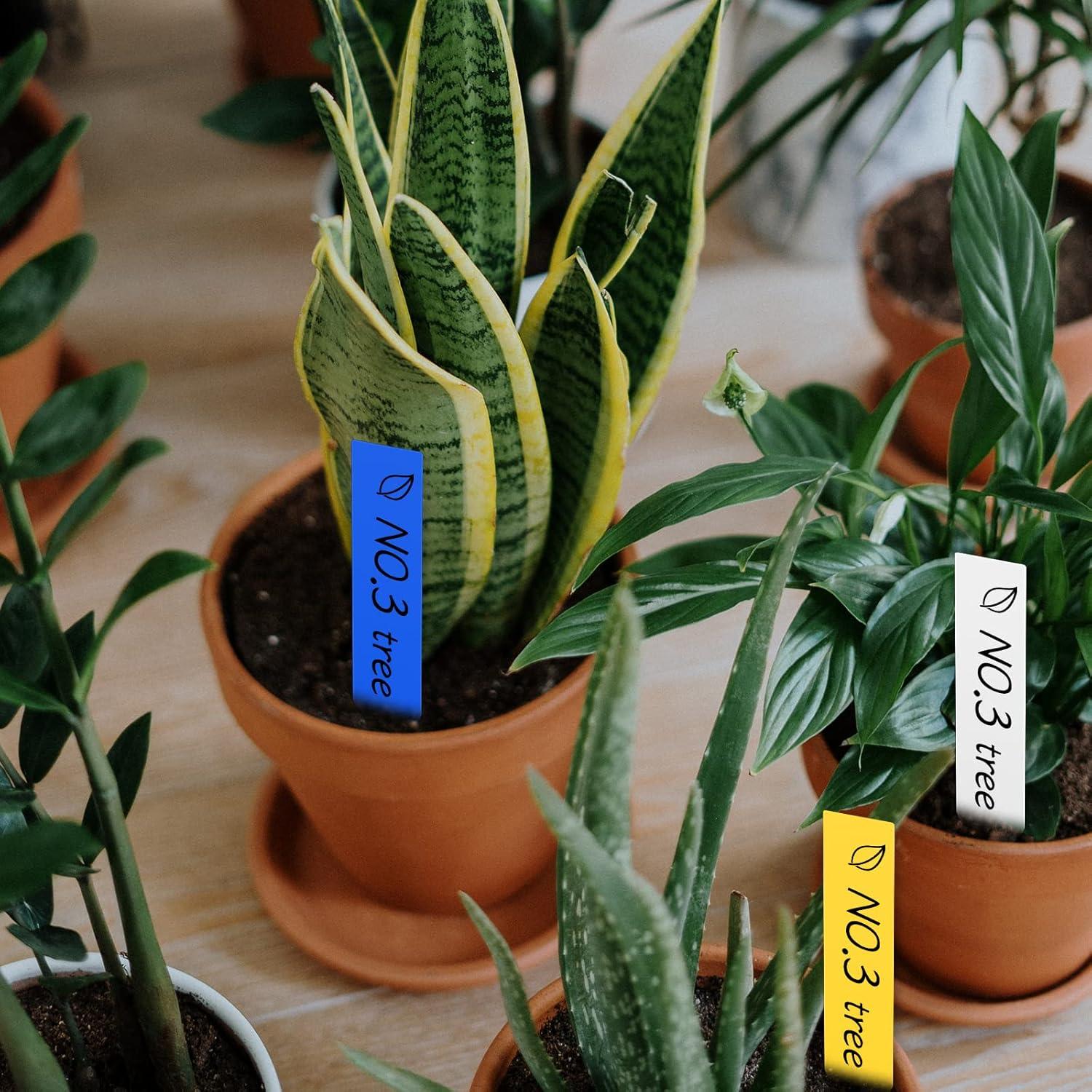 100 Etiquetas de Plantas Multicolor XGATML 10x2cm Plástico