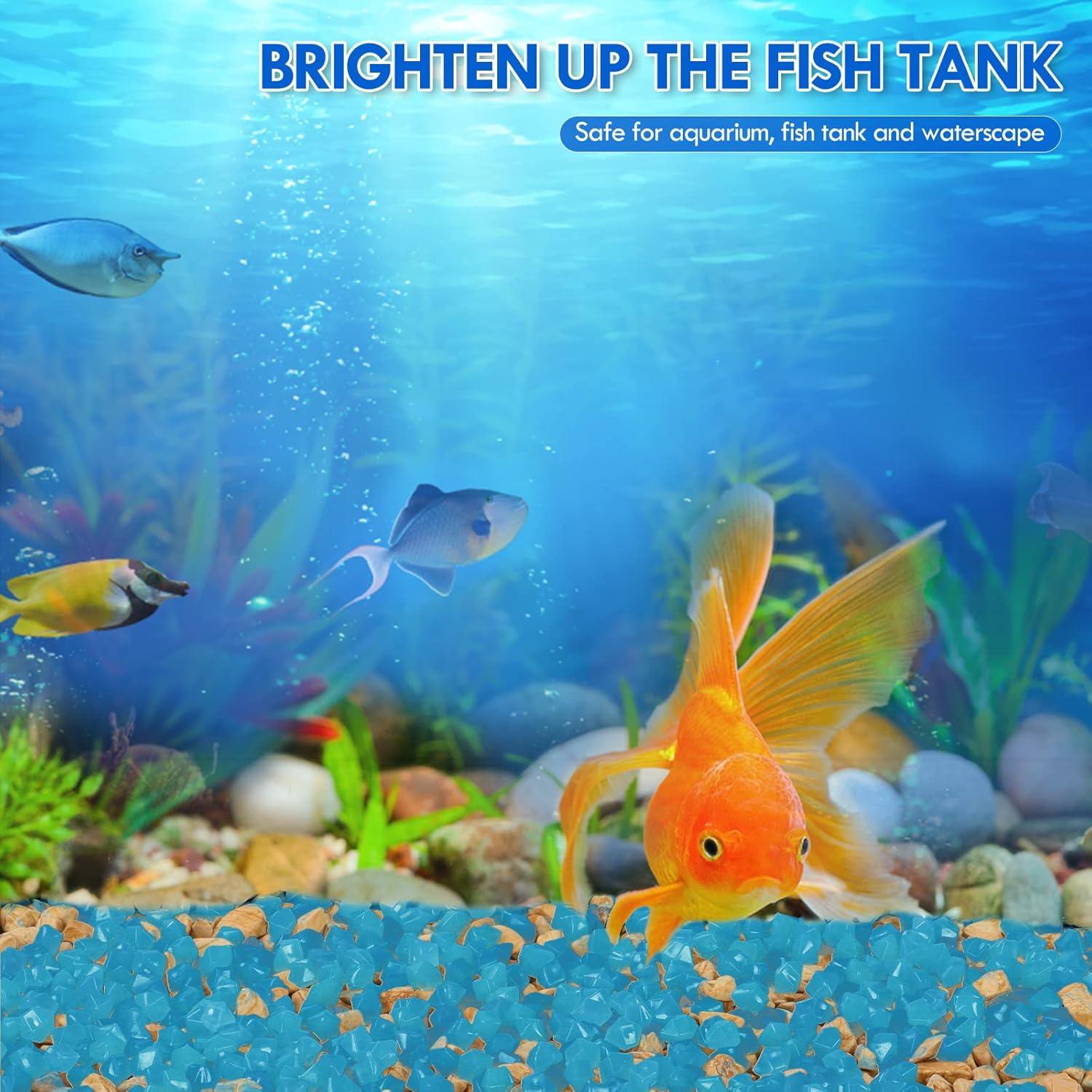 300 Piedras Brillantes en la Oscuridad Azul - Decoración Jardín