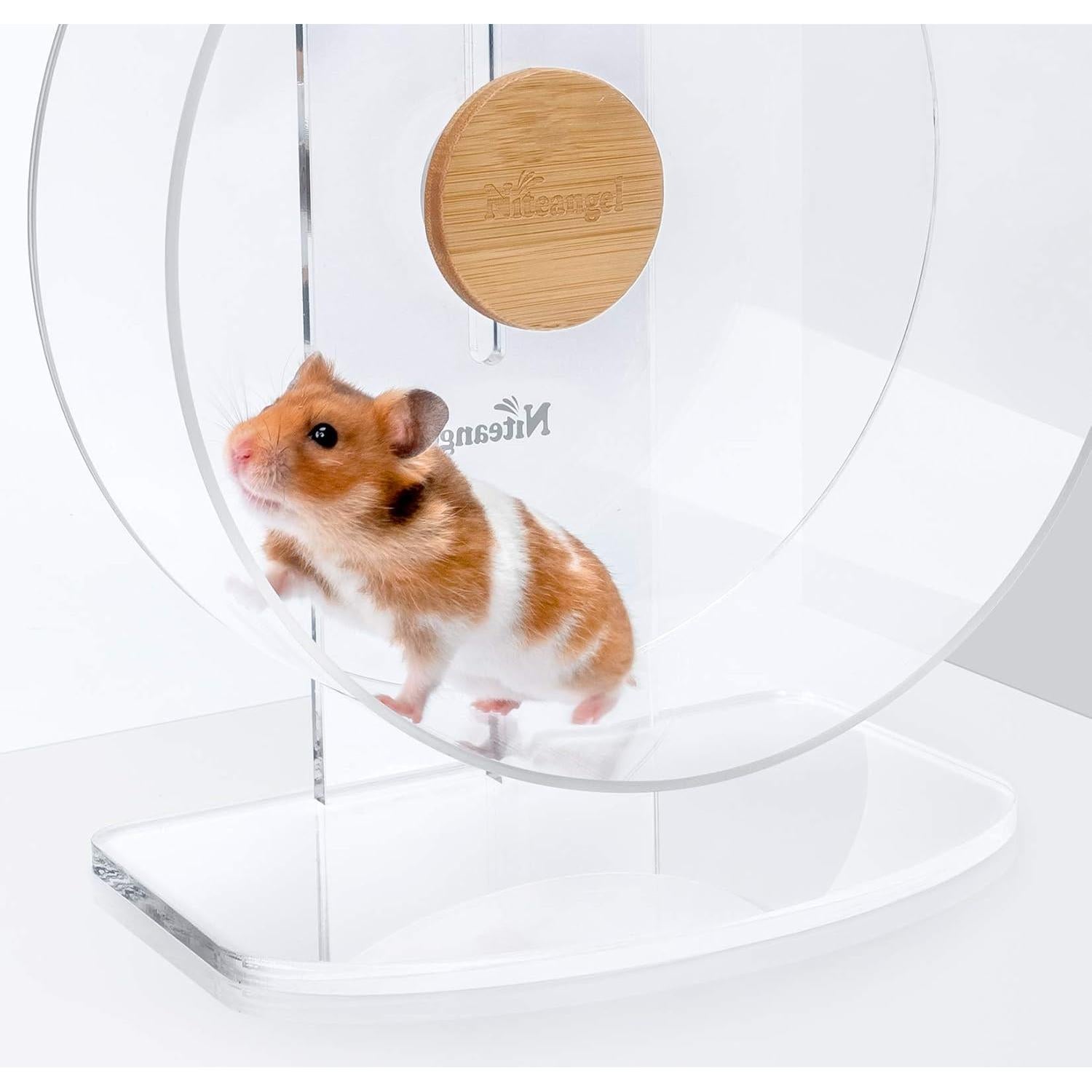 Rueda de Ejercicio Silenciosa Niteangel para Hámster Enano 21.84 cm