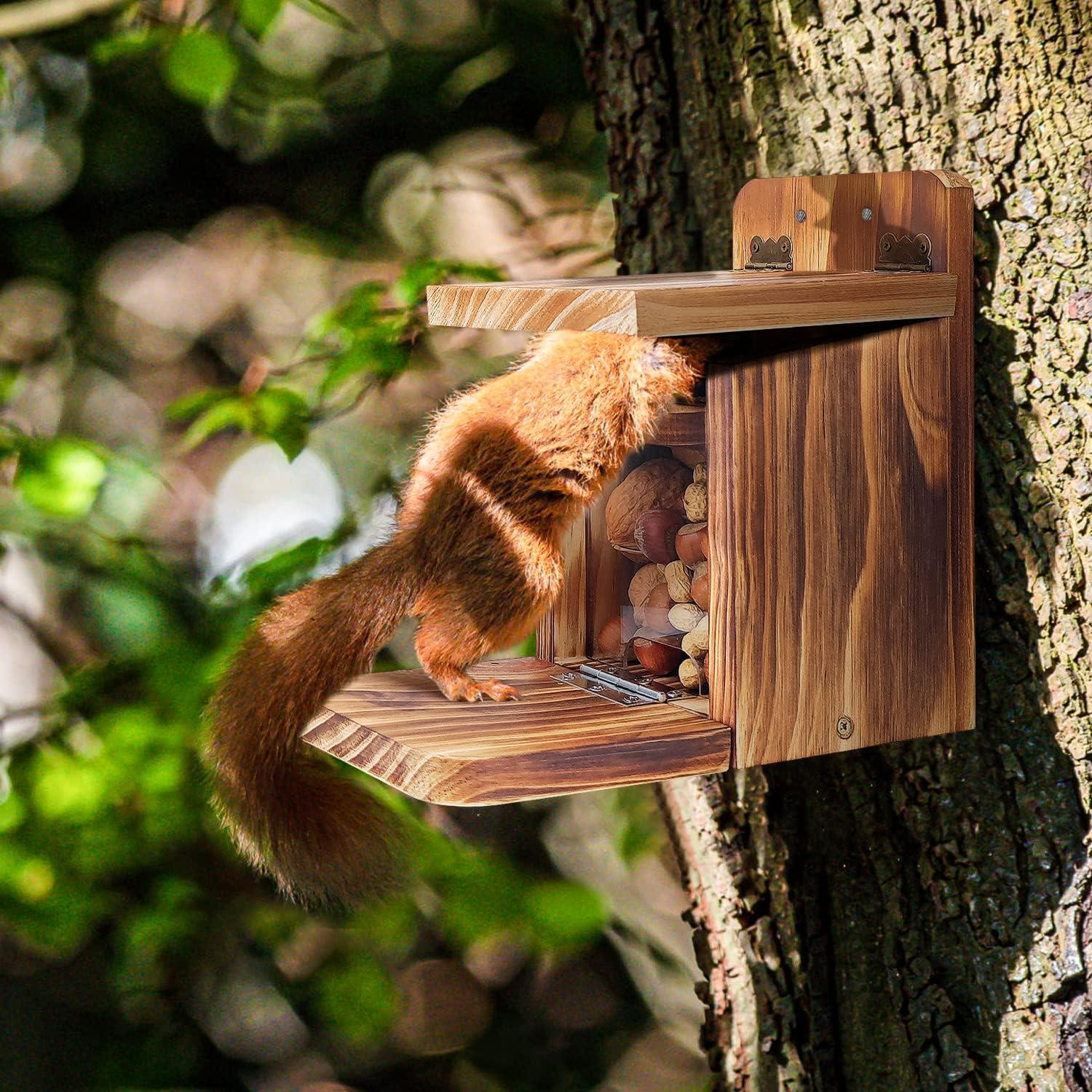 Comedero para Ardillas MIXXIDEA de Madera 1.5cm Resistente