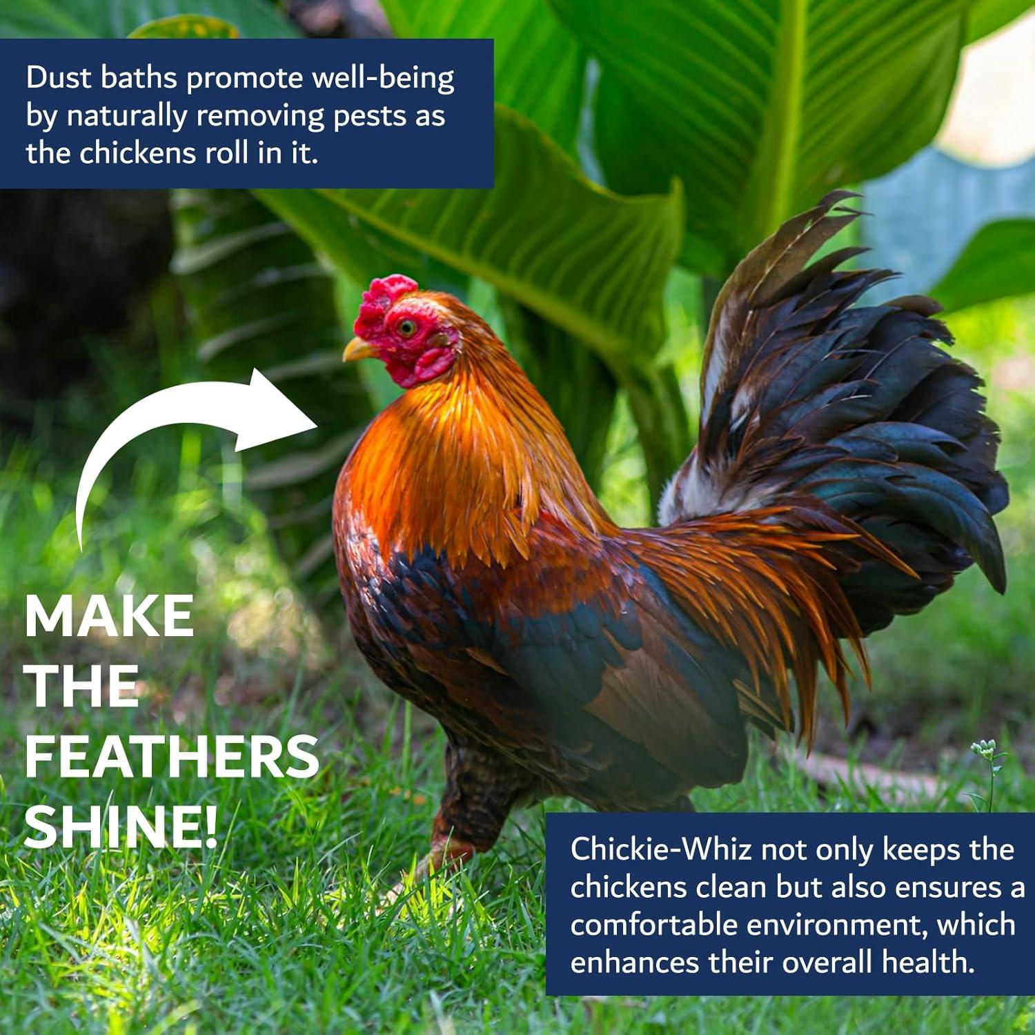 Chickie Whiz Polvo de Baño 2.5kg Natural para Pollos