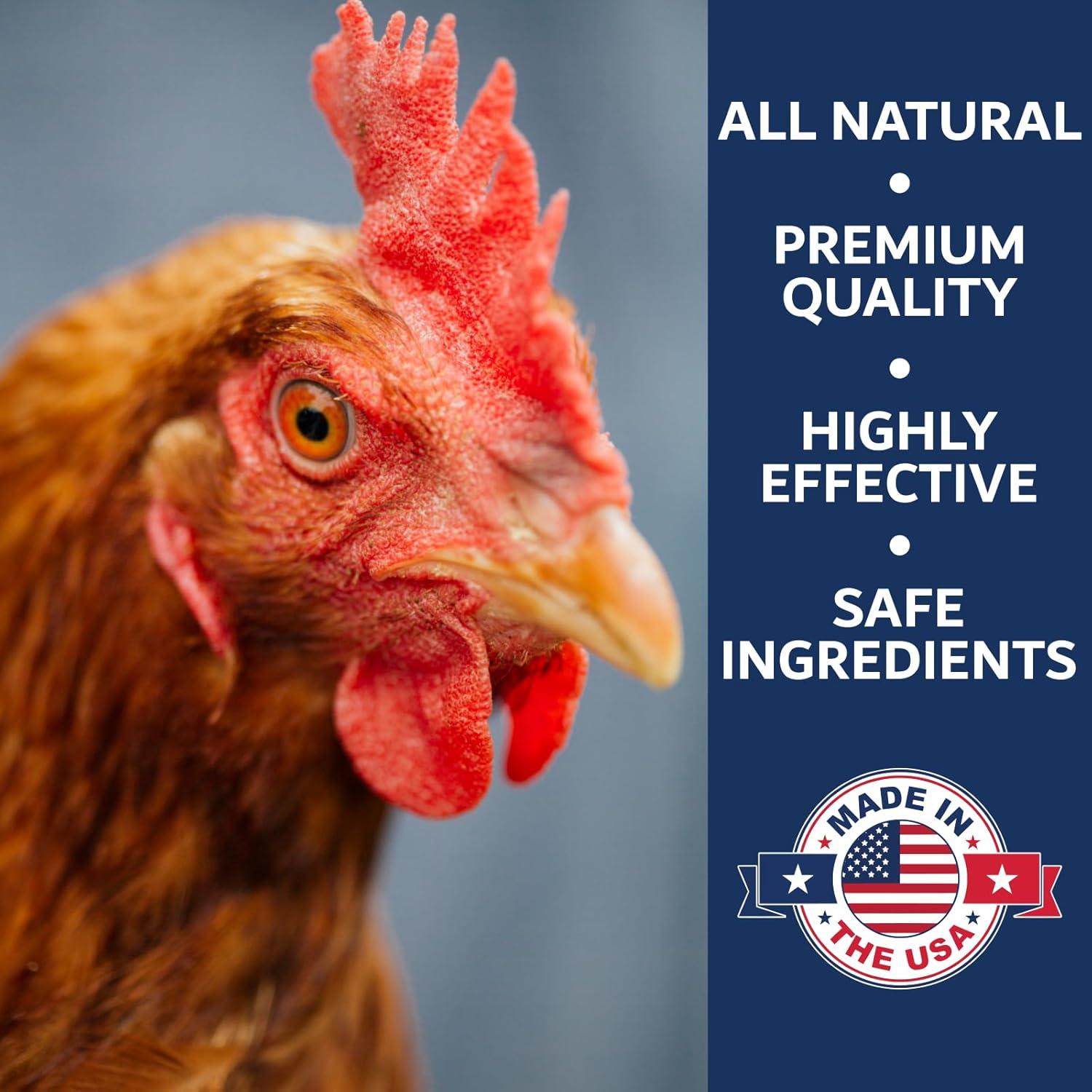 Chickie Whiz Polvo de Baño 2.5kg Natural para Pollos