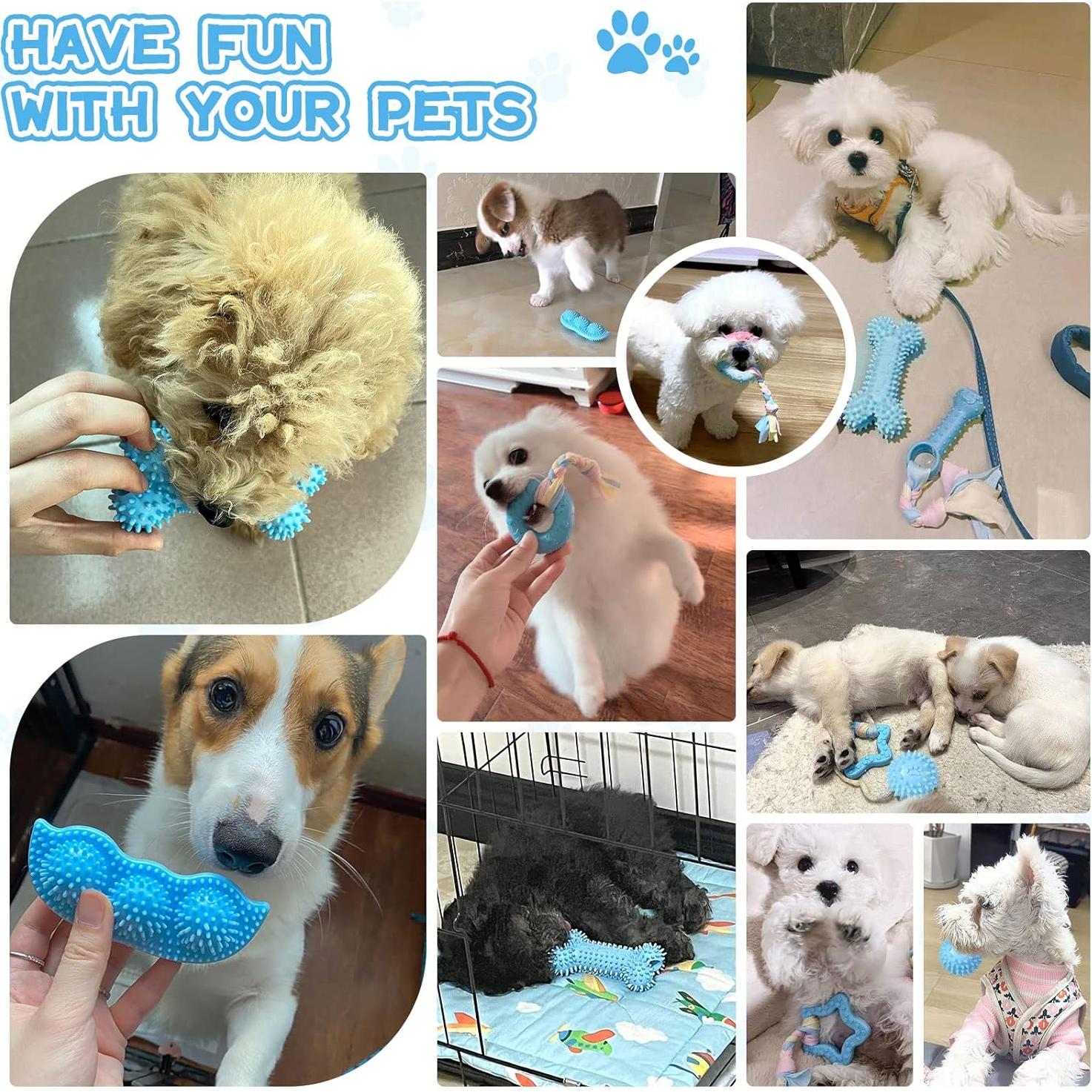 Paquete de 6 Juguetes Masticables para Cachorros PETCARE - Azul