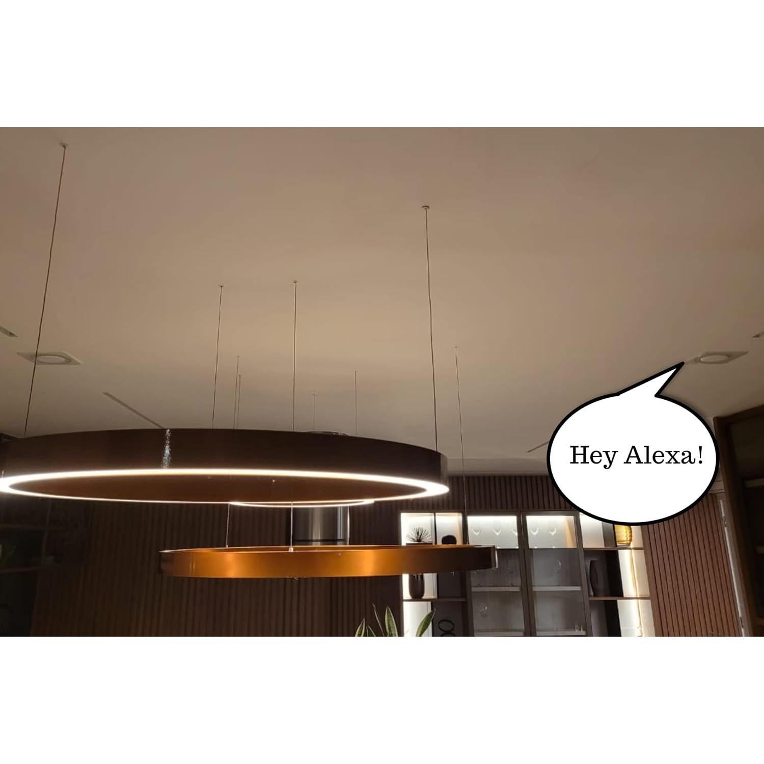 Soporte de Techo Splin Pro para Alexa Echo Dot y HomePod Mini