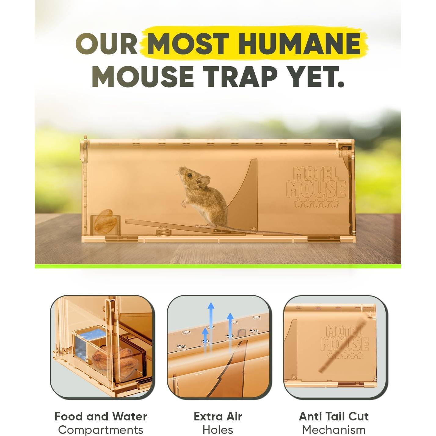 Trampas Humanas para Ratones Motelmouse - Paquete de 4 Reutilizables