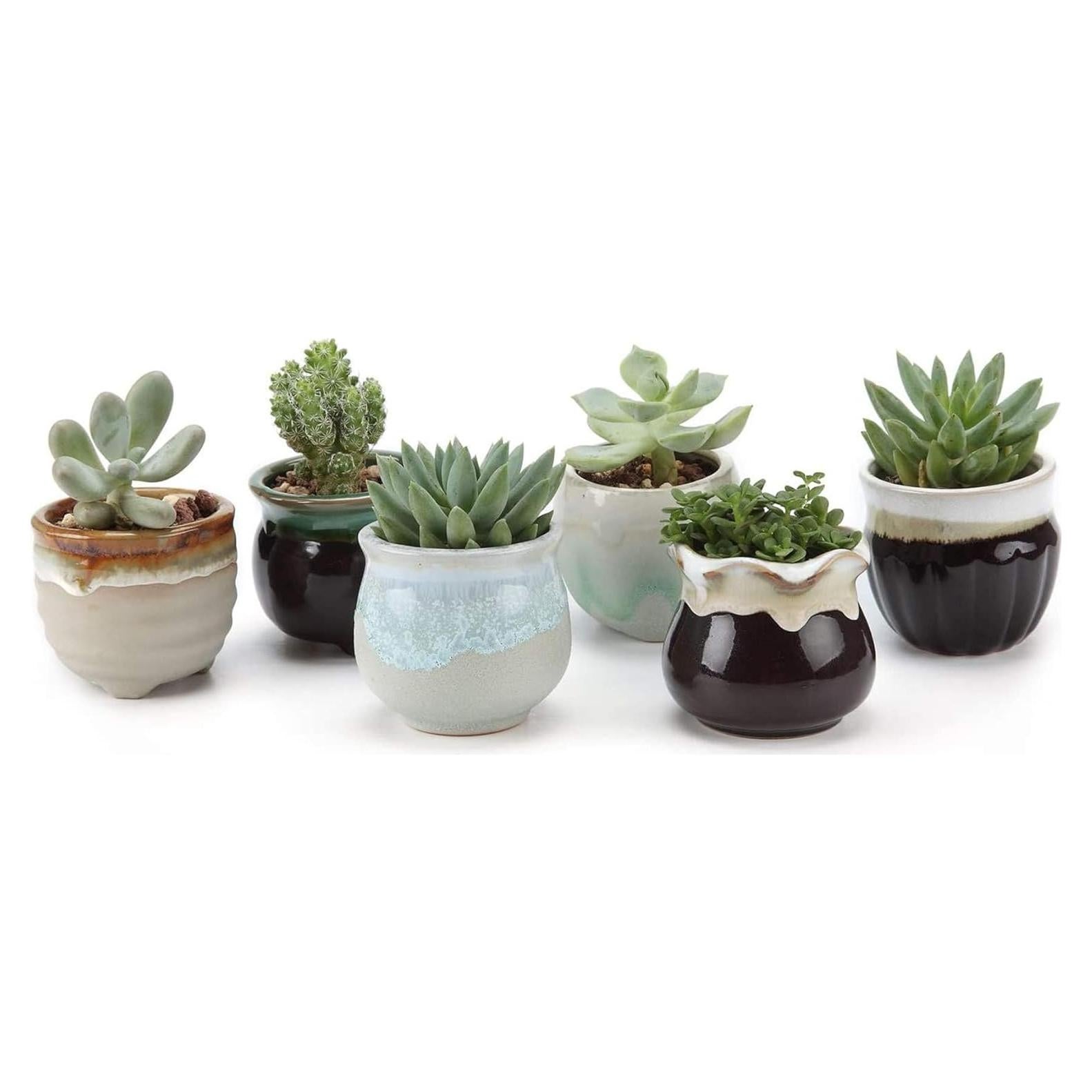 Set de 6 Macetas Cerámicas T4U para Suculentas con Drenaje