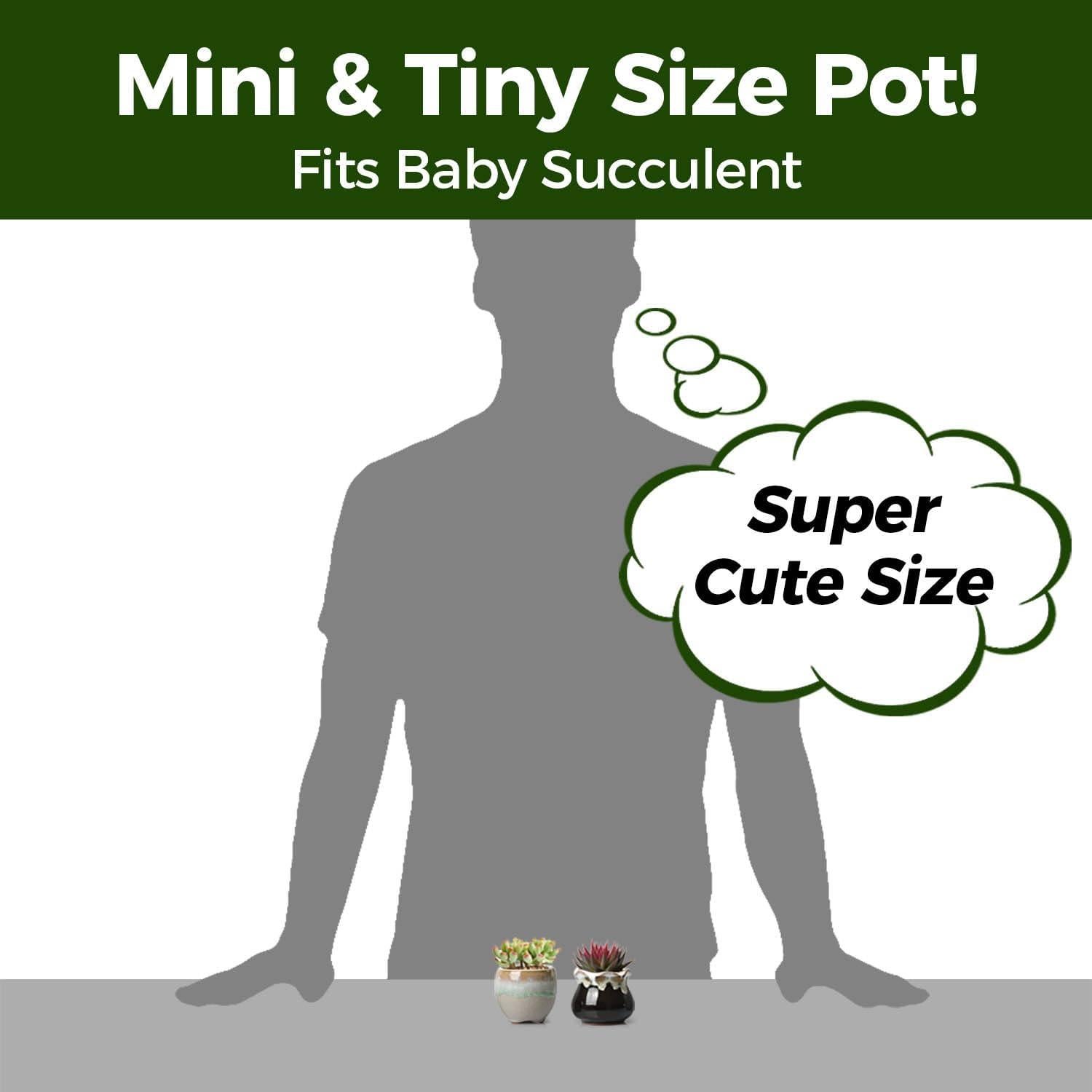 Set de 6 Macetas Cerámicas T4U para Suculentas con Drenaje