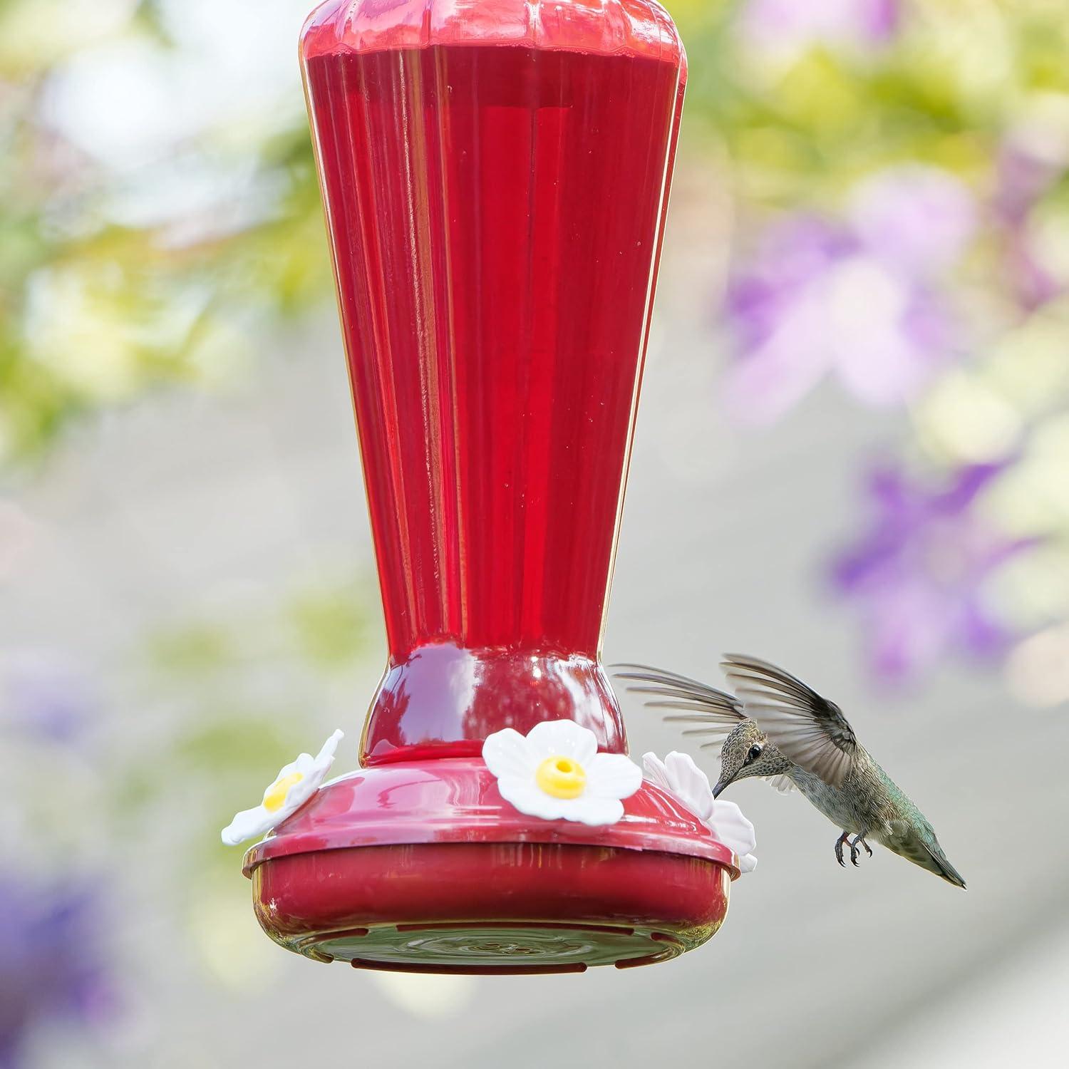 Alimento para Colibríes Audubon Park - Nécar Natural 6 oz