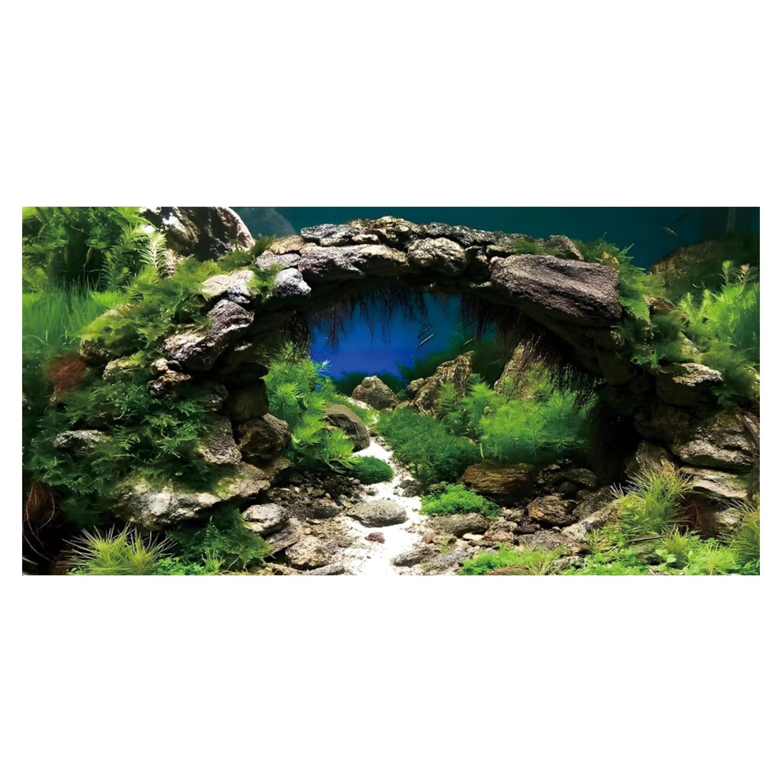 Fondo de Acuario Vinilo AWERT 60x30 cm Realista