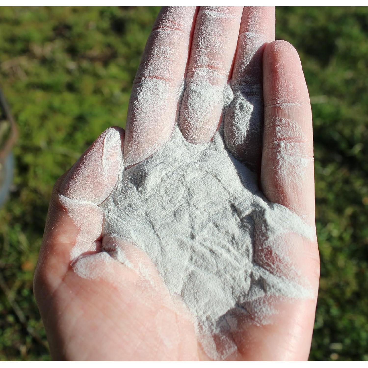 Baño de Polvo Natural Chicken's Choice 2.72 kg para Pollos