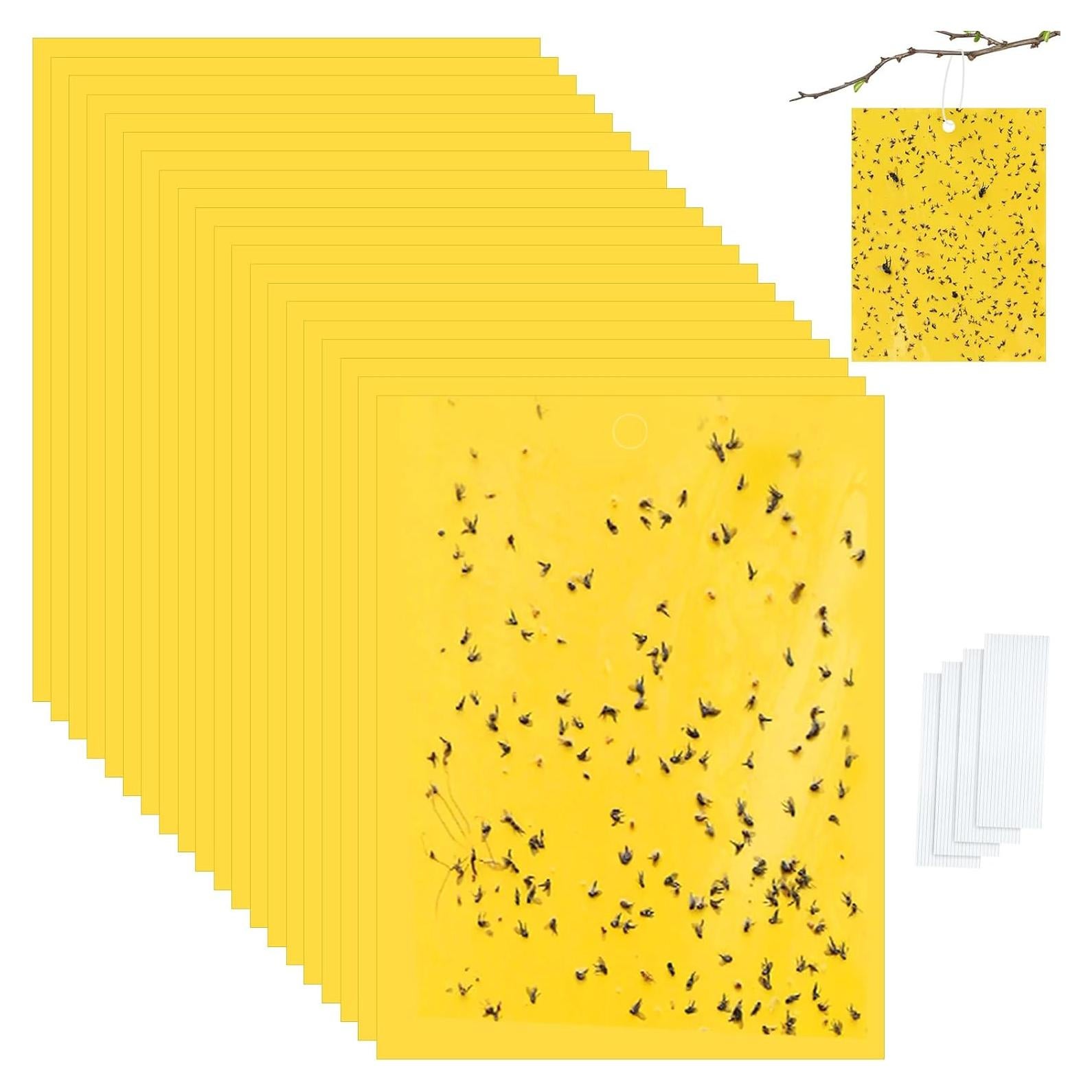 Trampas Adhesivas Amarillas Doble Cara Qualirey 20 Pcs 15x20 cm