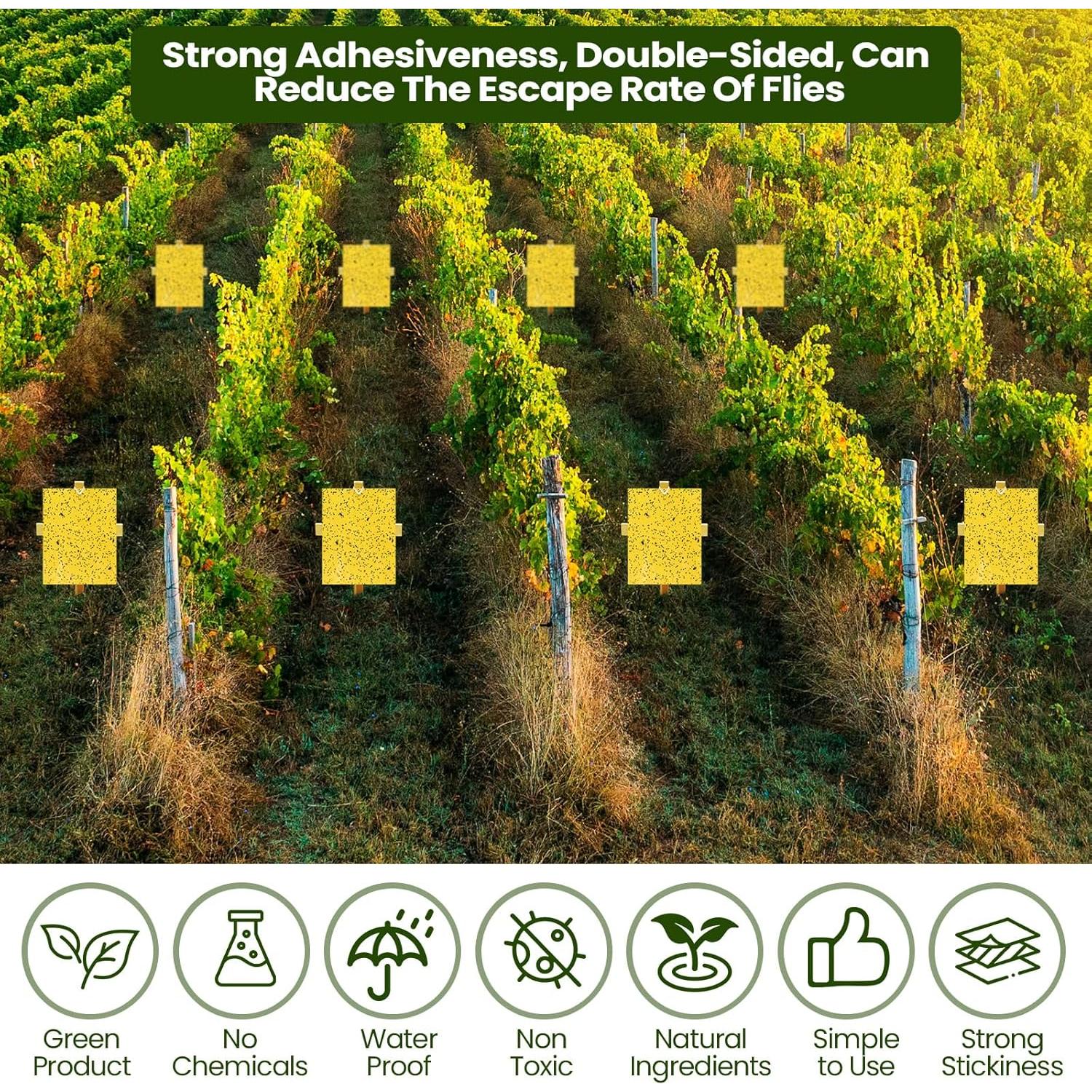 Trampas Adhesivas Amarillas Doble Cara Qualirey 20 Pcs 15x20 cm