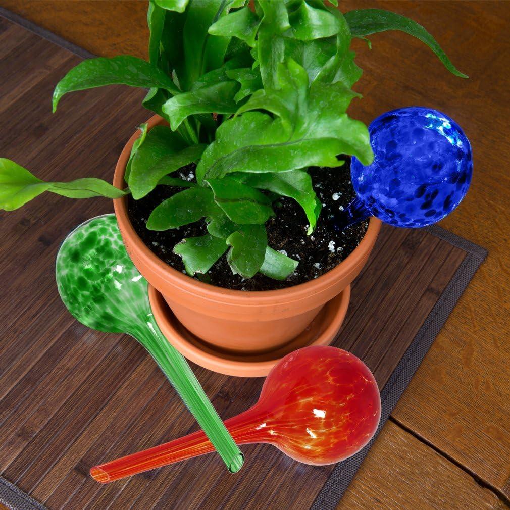 Esferas de Riego Automático Evelots - Paquete de 3 - Vidrio 14.6cm