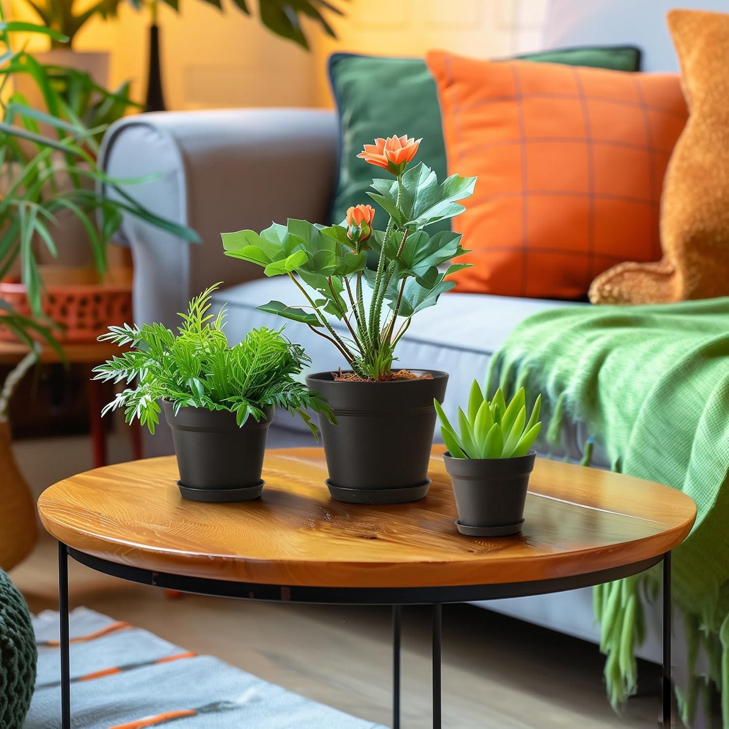 Macetas de 10 cm T4U Paquete de 8 con Plato y Drenaje