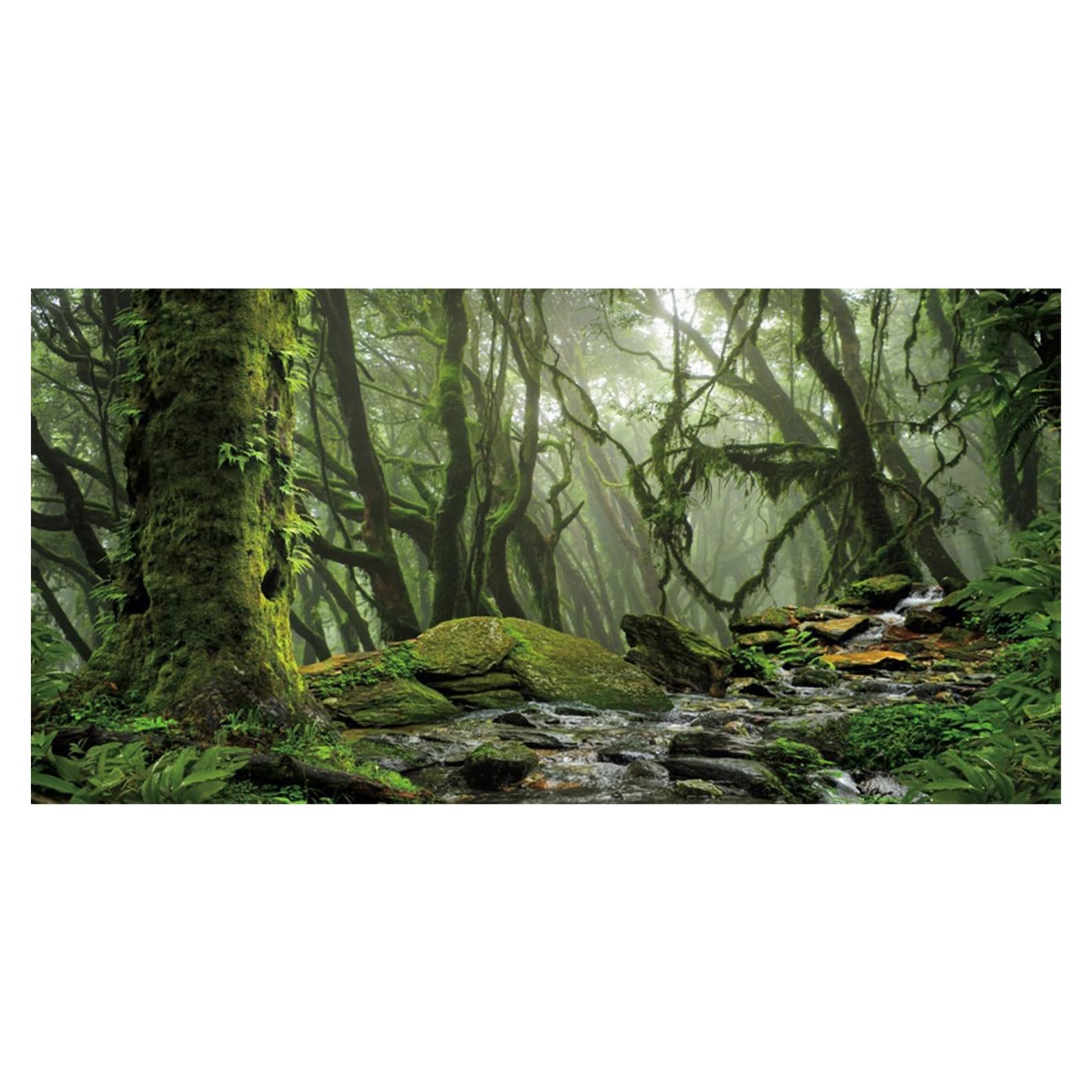 Fondo de Terrario Bosque Nublado AWERT 60x30 cm Acuario