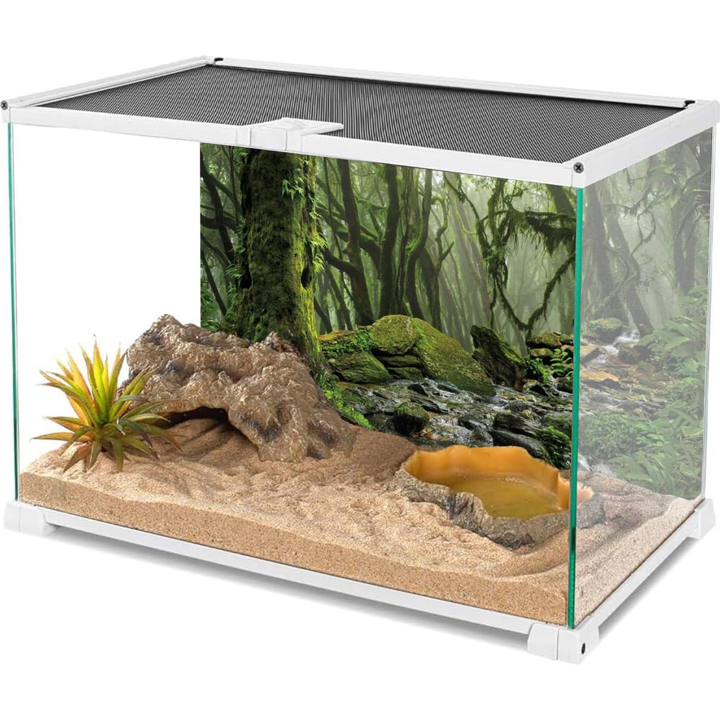 Fondo de Terrario Bosque Nublado AWERT 60x30 cm Acuario