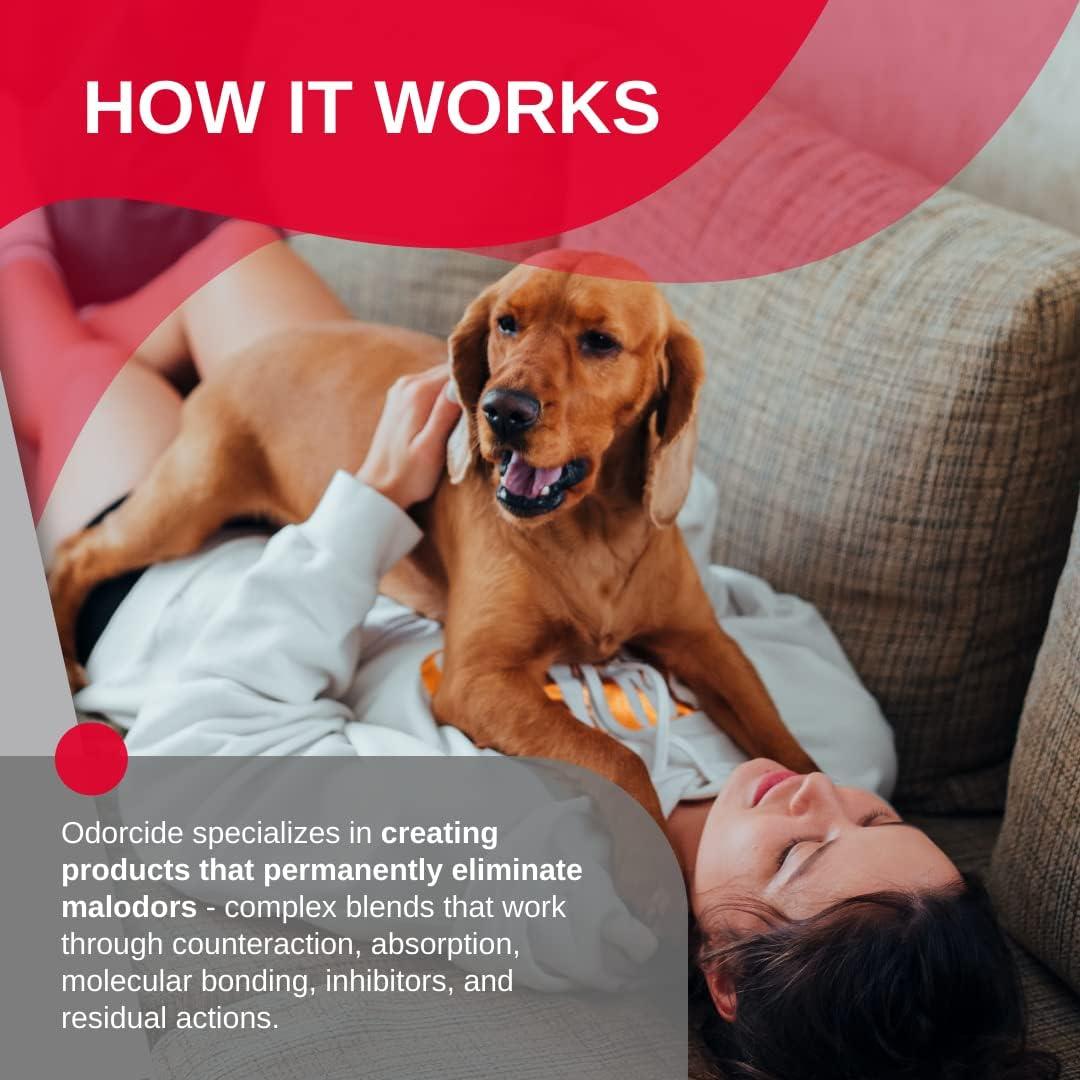 Odorcide 210 Eliminador de Olores Concentrado 473 ml