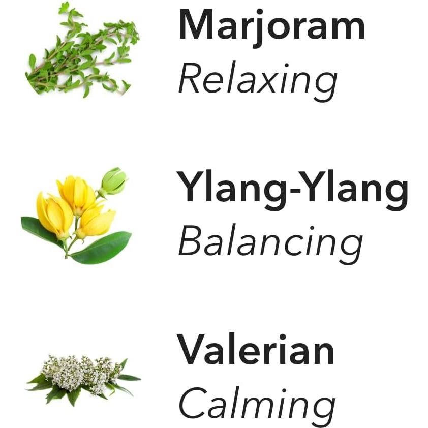 Recarga Aera Bliss Aromaterapia - Notas de orégano y ylang-ylang