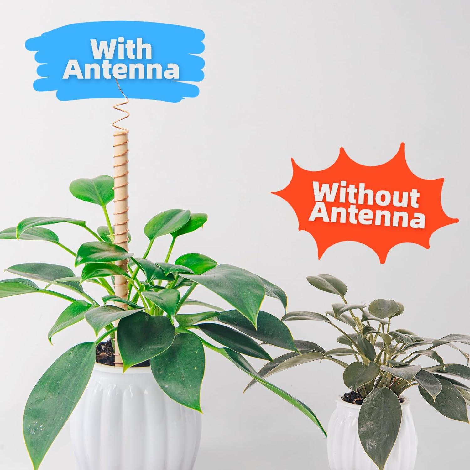 Alambre de Cobre Puro 16 AWG 18.29 m Art3d para Jardinería