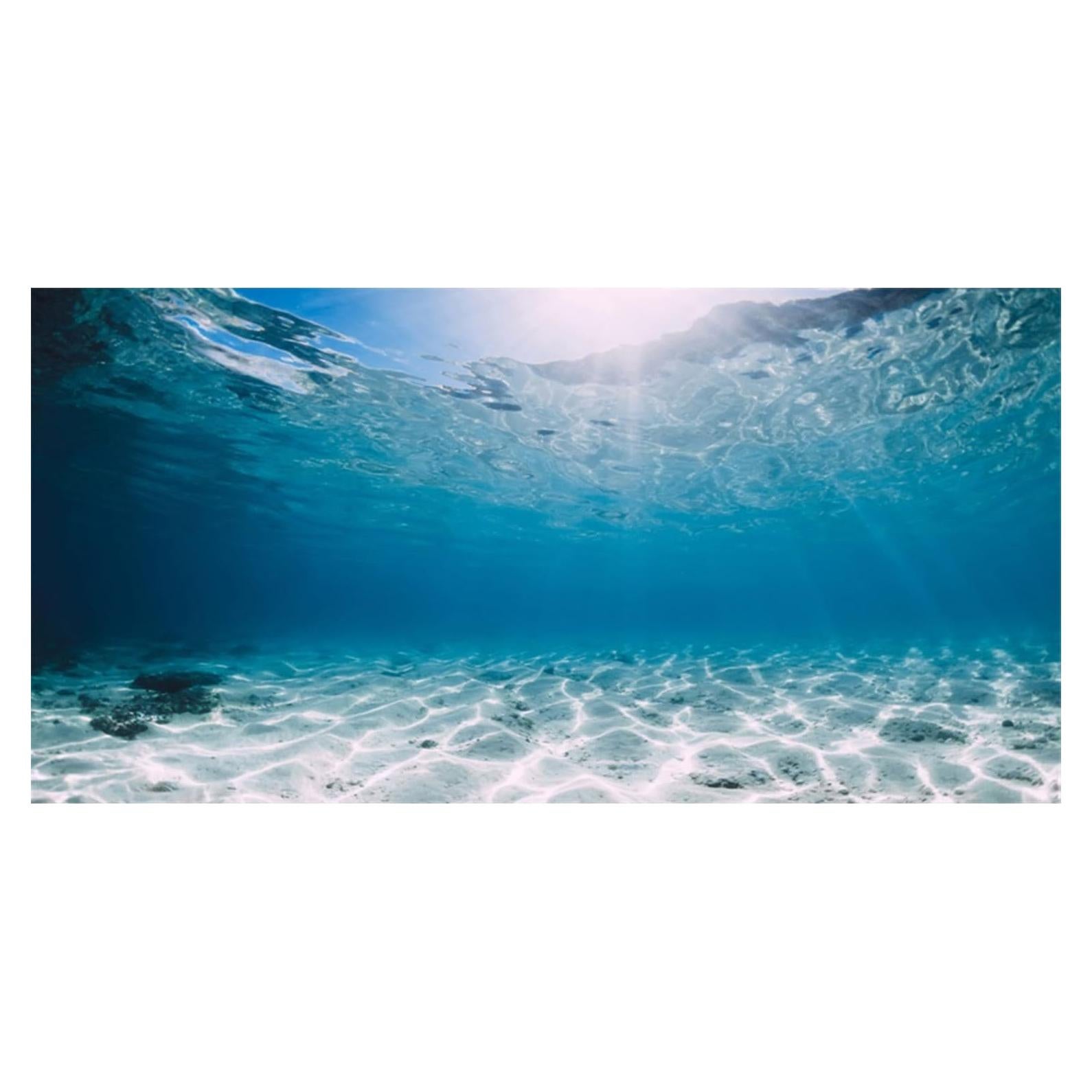 Fondo de Acuario 60x30 cm AWERT Tema Submarino HD