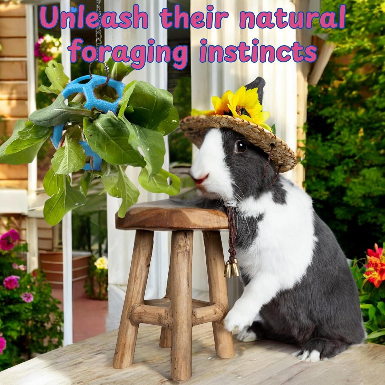 Pelota de Golosinas para Conejos Homedy 9cm Azul