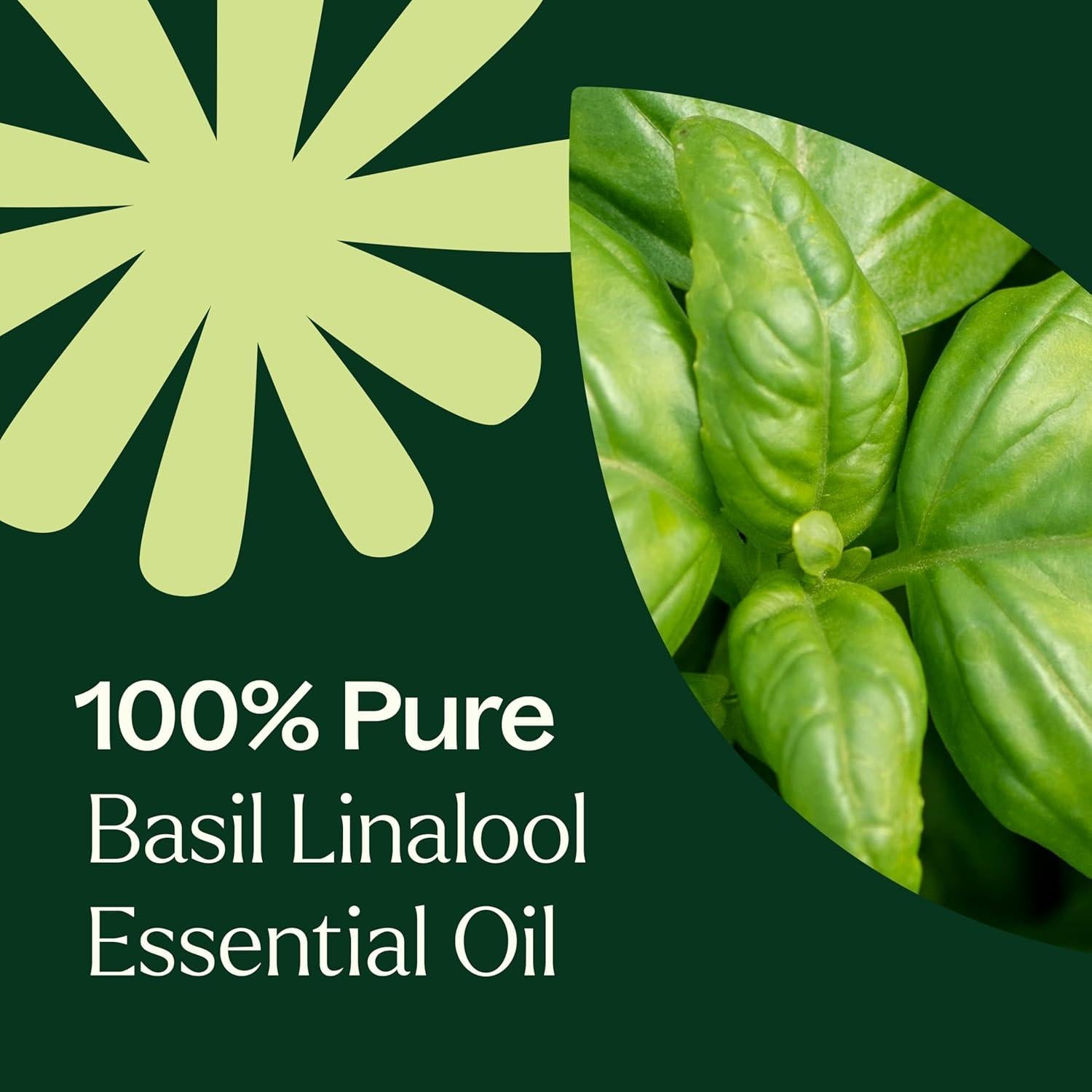 Aceite Esencial de Albahaca Linalool 10 mL Plant Therapy 100% Puro