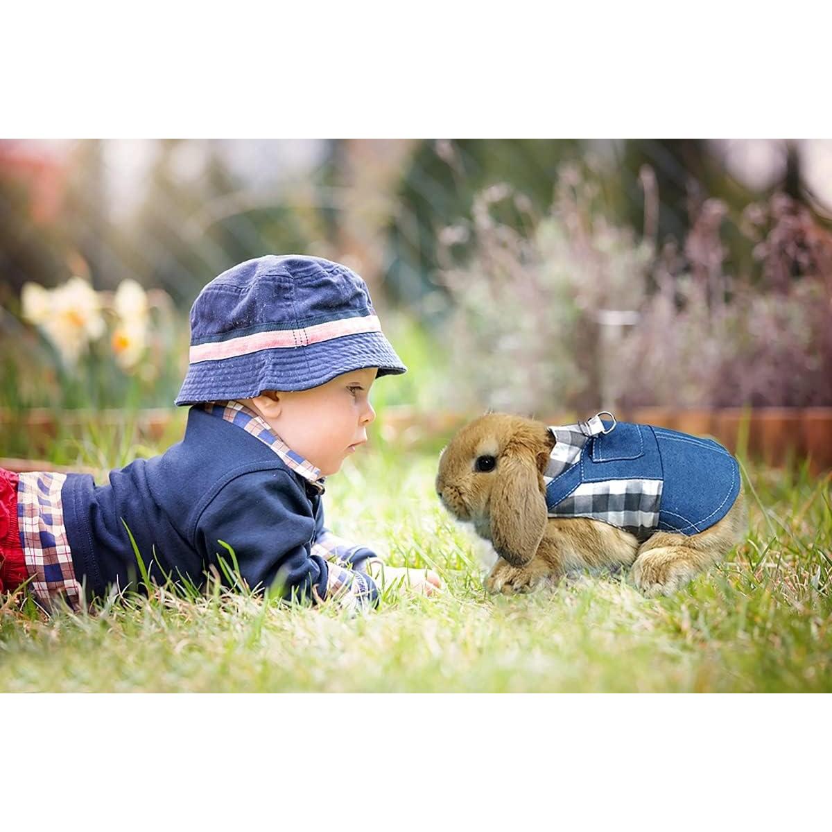 Arnés y Correa para Conejo Vehomy Denim Ajustable S