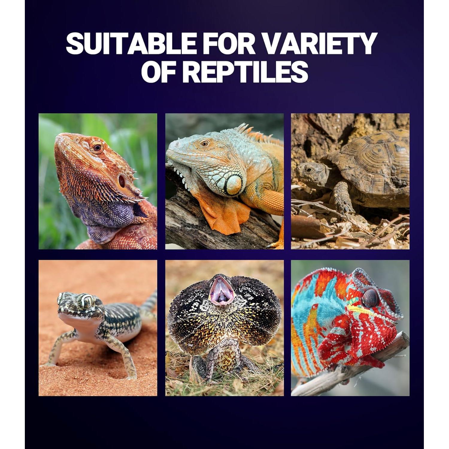 Lámpara de Calor Nocturna para Reptiles REPTI ZOO 75W E26/E27