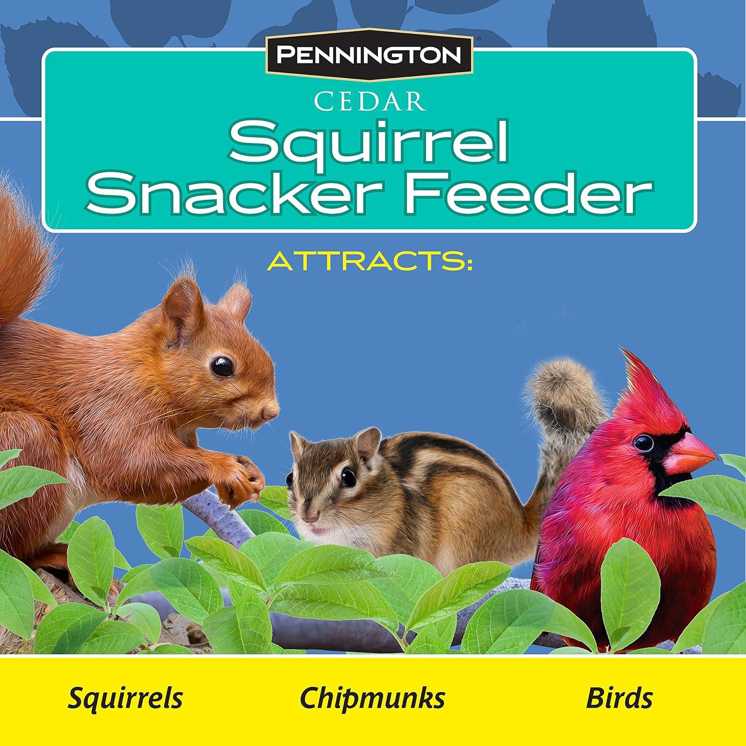Alimentador para Ardillas Pennington de Cedro 1.24 kg