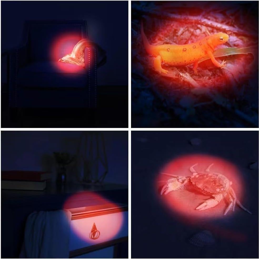 Paquete de 6 Linternas LED Rojas RaySoar para Observación Nocturna