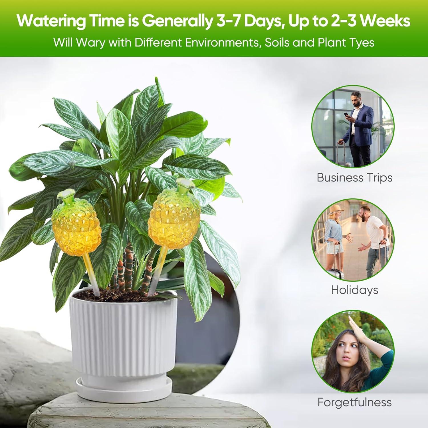 Esferas de Riego DDMY 270ML para Plantas - 3 Paquete