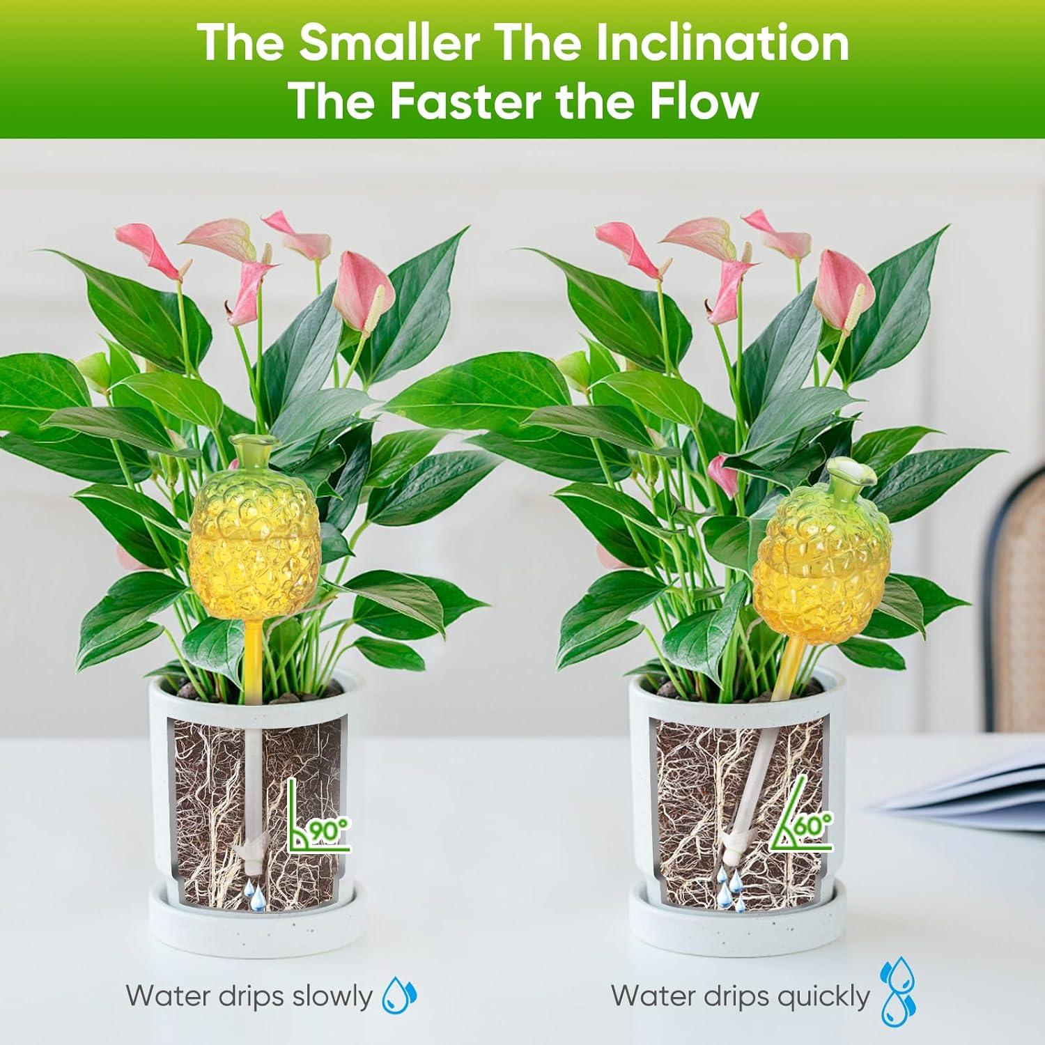 Esferas de Riego DDMY 270ML para Plantas - 3 Paquete