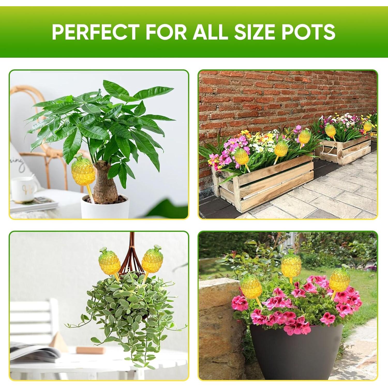 Esferas de Riego DDMY 270ML para Plantas - 3 Paquete