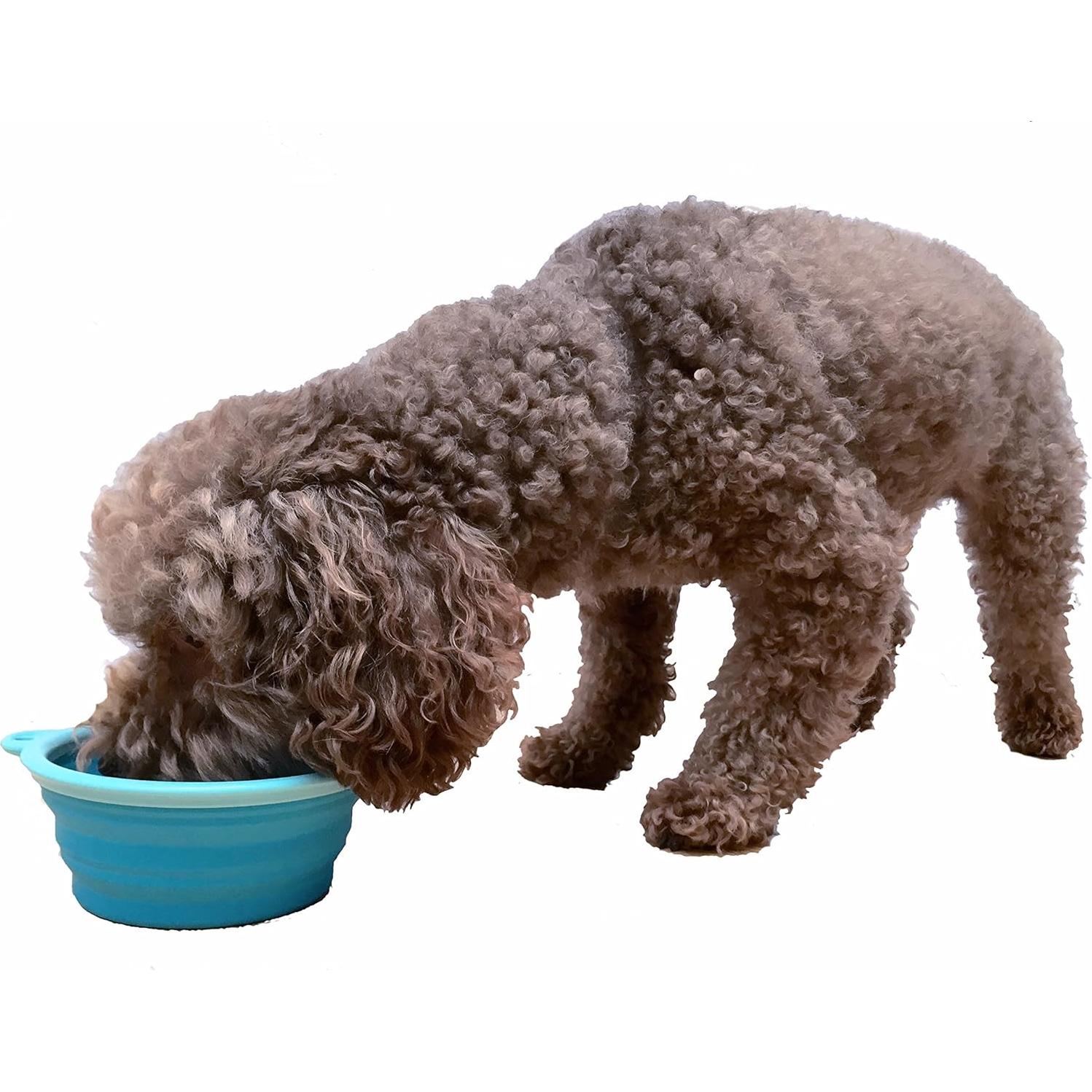 Cuenco de Silicona Colapsable Prima Pets 1.5 Tazas Aqua