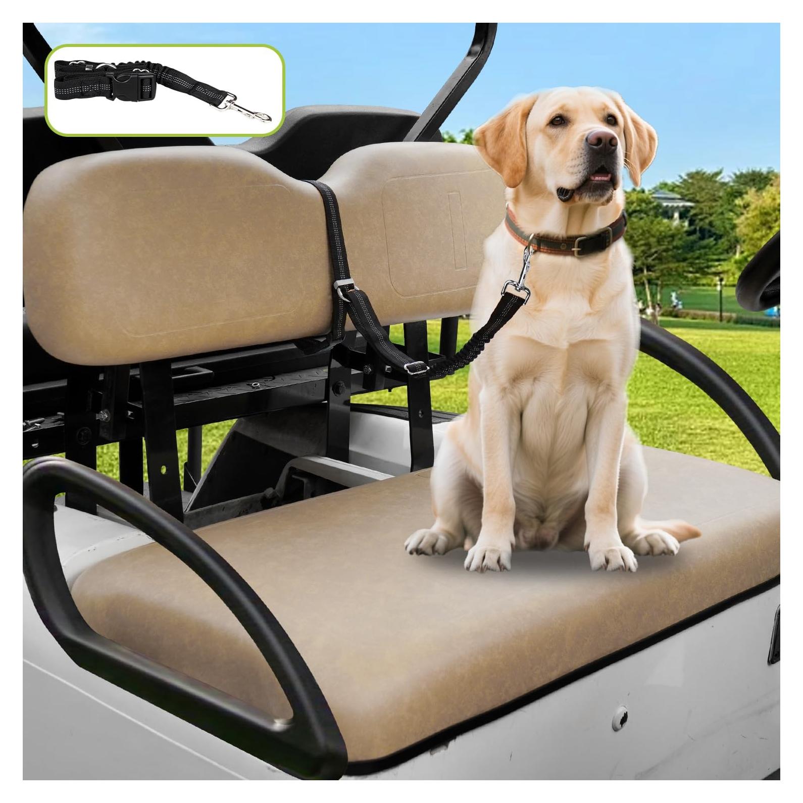 Correa de Seguridad para Perro Urgown para Carro de Golf Negra