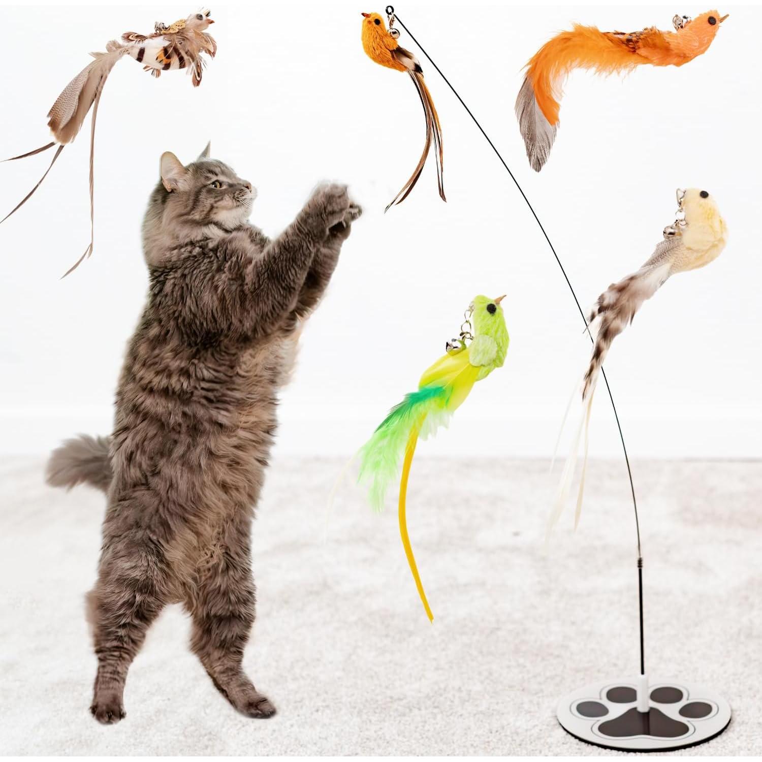 Juego Interactivo para Gatos GADGETSOLOGY 5 Piezas Plumas