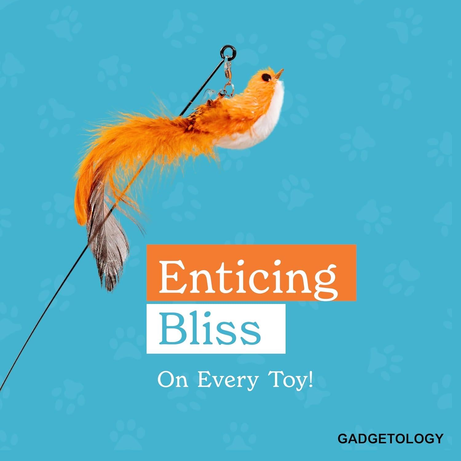 Juego Interactivo para Gatos GADGETSOLOGY 5 Piezas Plumas