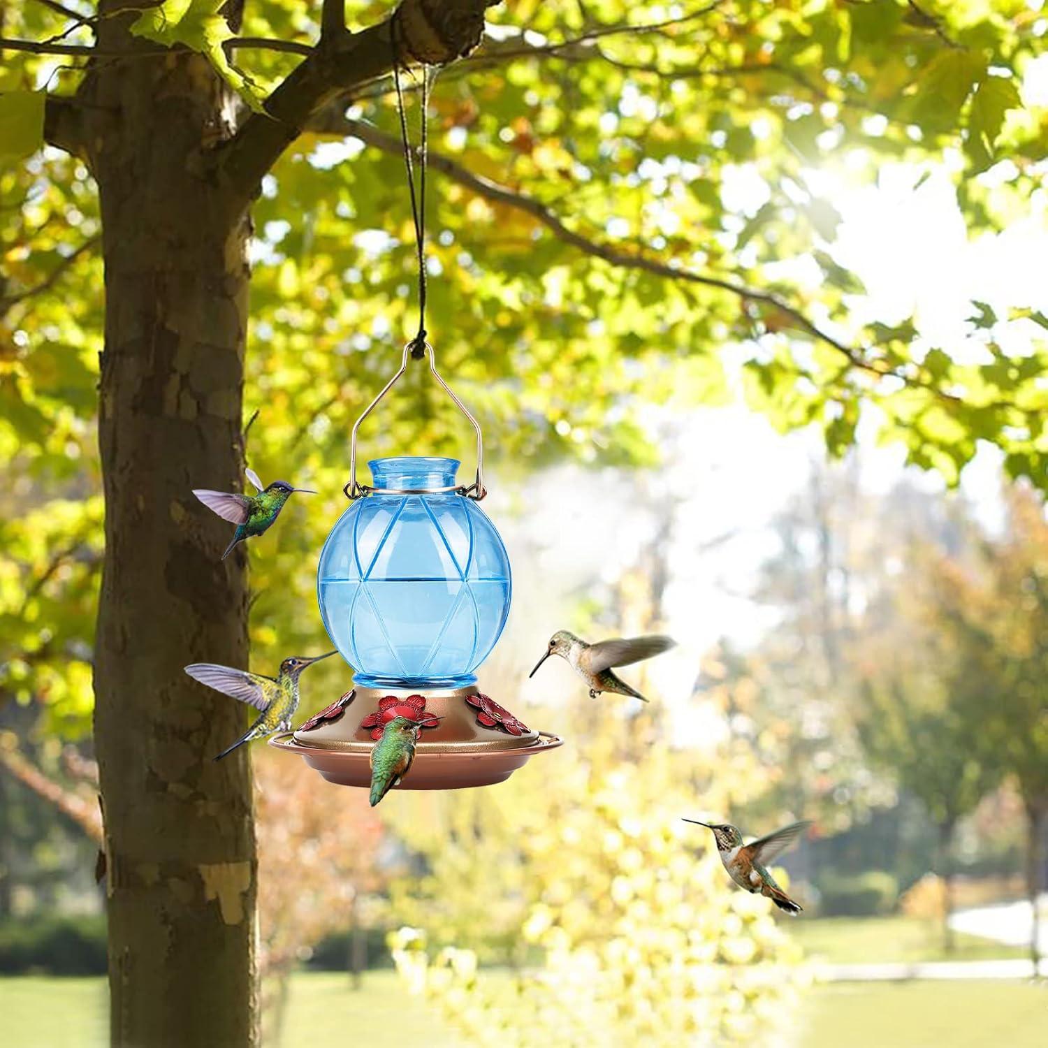 Alimentador de Colibríes BOLITE de Vidrio 591 ml 2 Paquetes