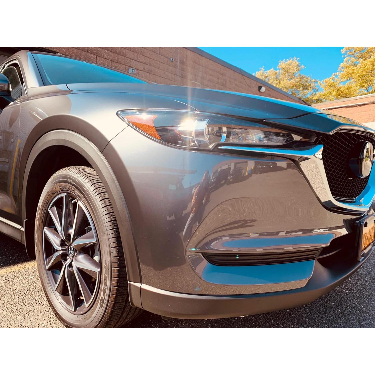 Revestimiento Transparente Alto Brillo Auto Paint Depot 14.79 ml