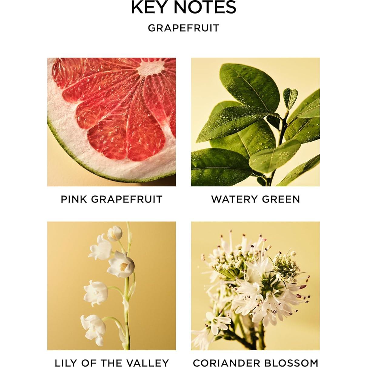 Jabón Líquido NEST Nueva York Pomelo 295 ml - Nutre Piel