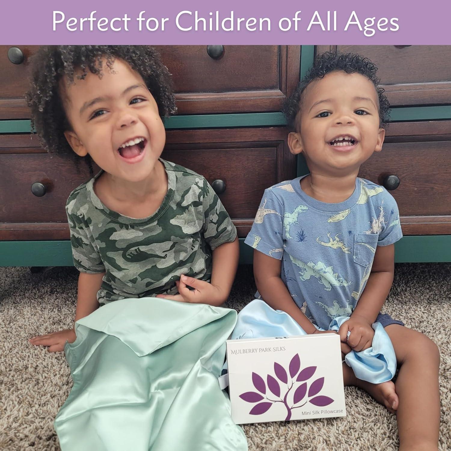 Funda de Almohada de Seda Mulberry Park 33x46 cm Azul