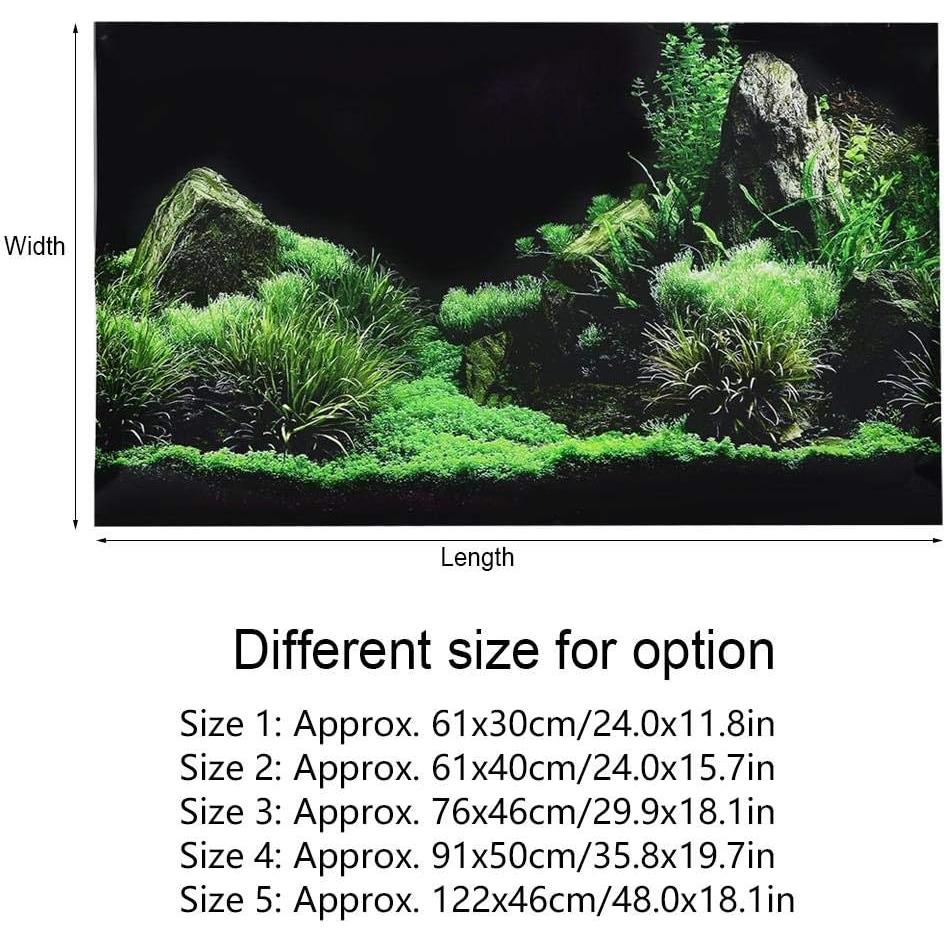 Póster de Acuario 3D PVC Autoadhesivo Zerodis 61x30 cm