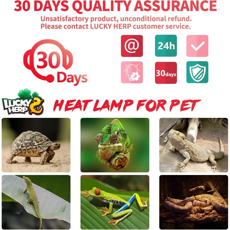 LUCKY HERP 50W Reptile Heat Lamp Bulbs 2 Pack, Reptiles & Amphibians Infrared Basking Spot Lamp, Heat Light Bulb for Turtle, Bearded Dragon, Lizard
