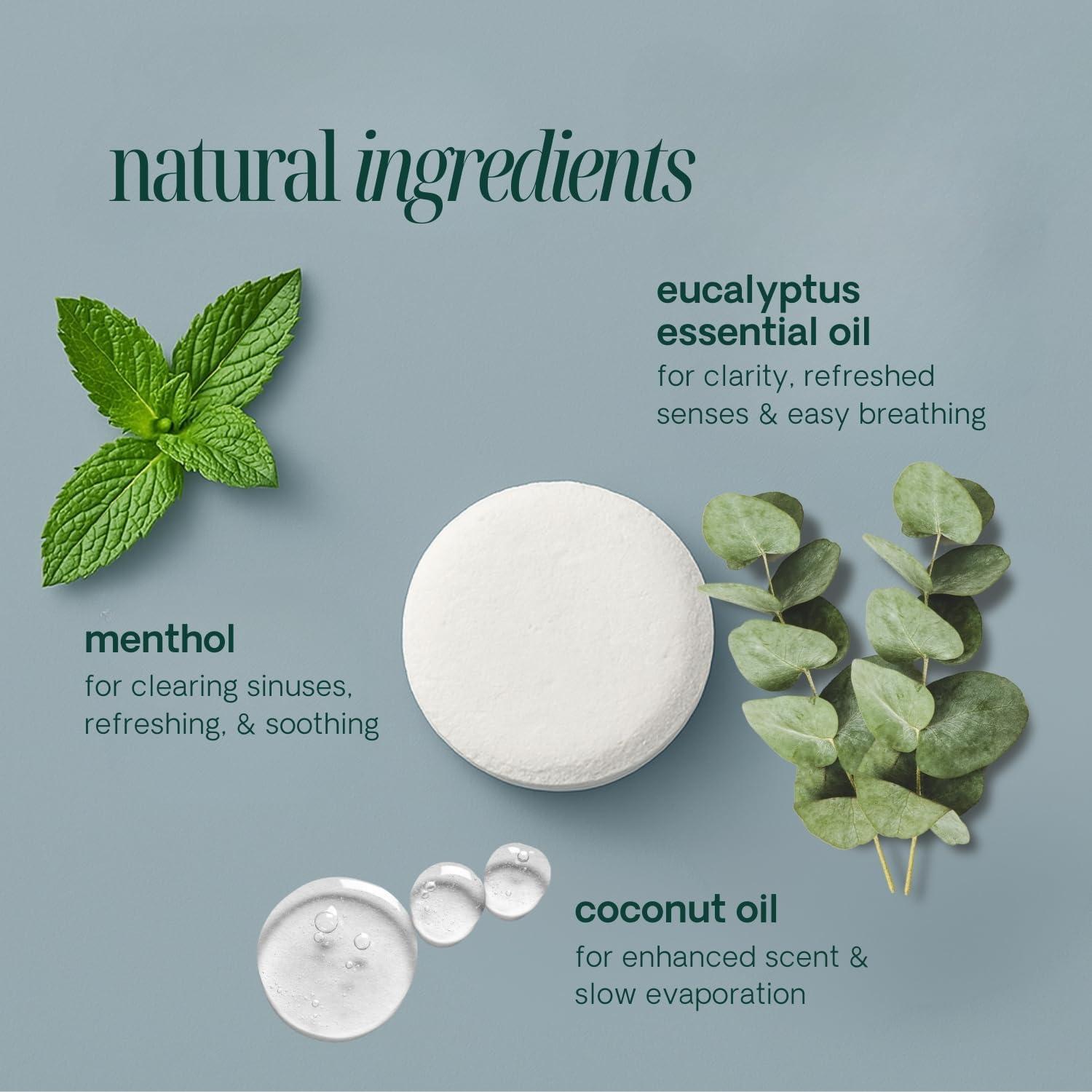 Bolsitas de Vapor de Aromaterapia Eucalipto Spa Para Uno - 10 Unidades