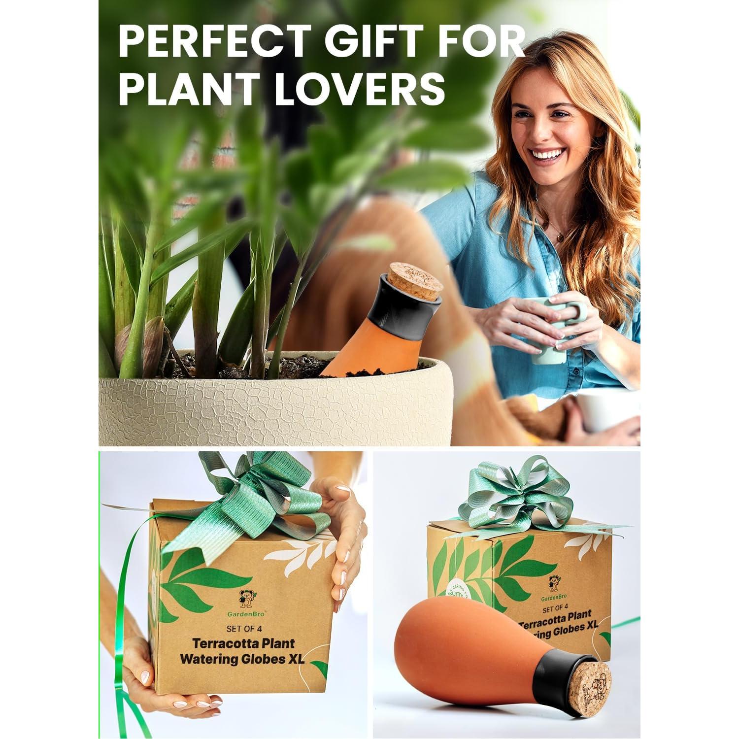 Juego de 4 Ollas de Riego de Terracota 14 Oz Negro - Auto Riego