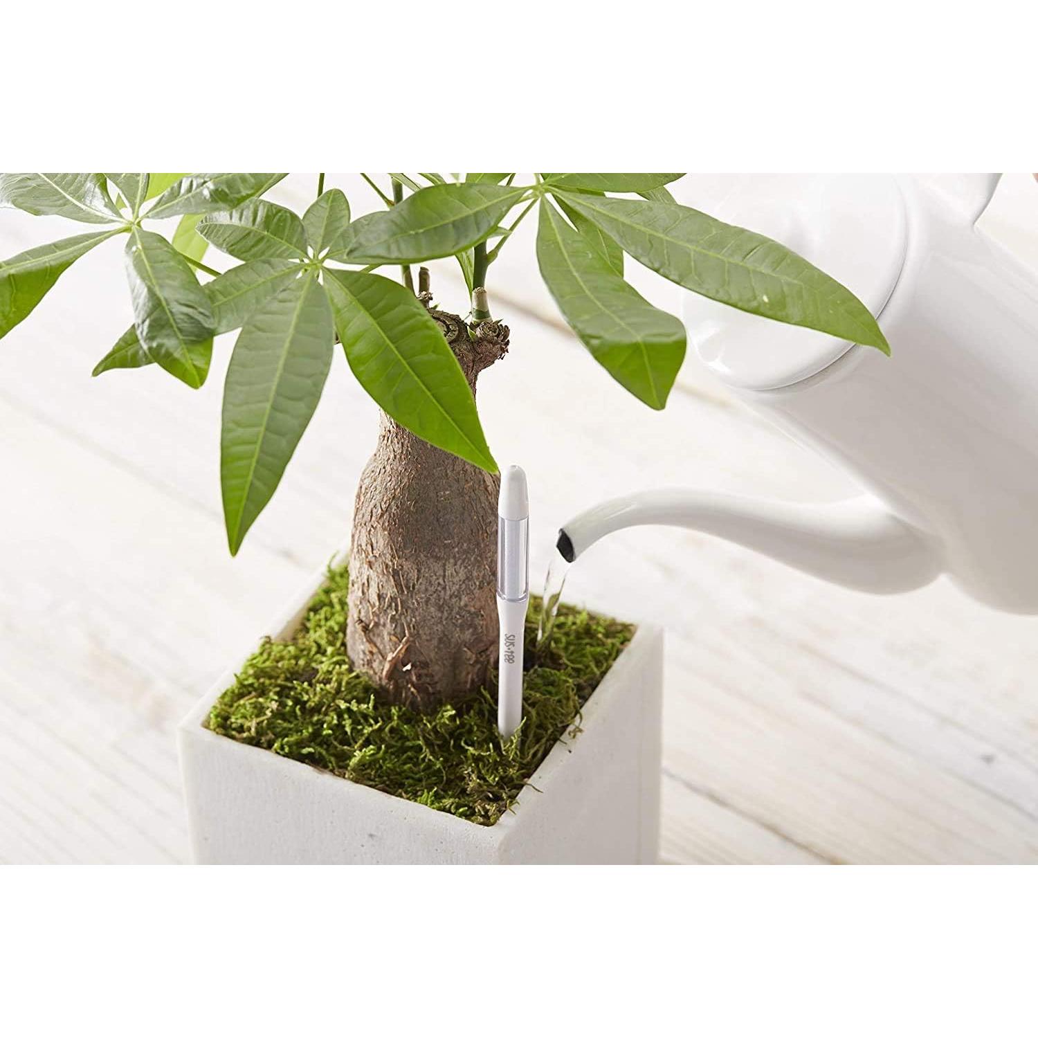 Sensor de Humedad del Suelo SUSTEE Aquameter Set de 5 Verde