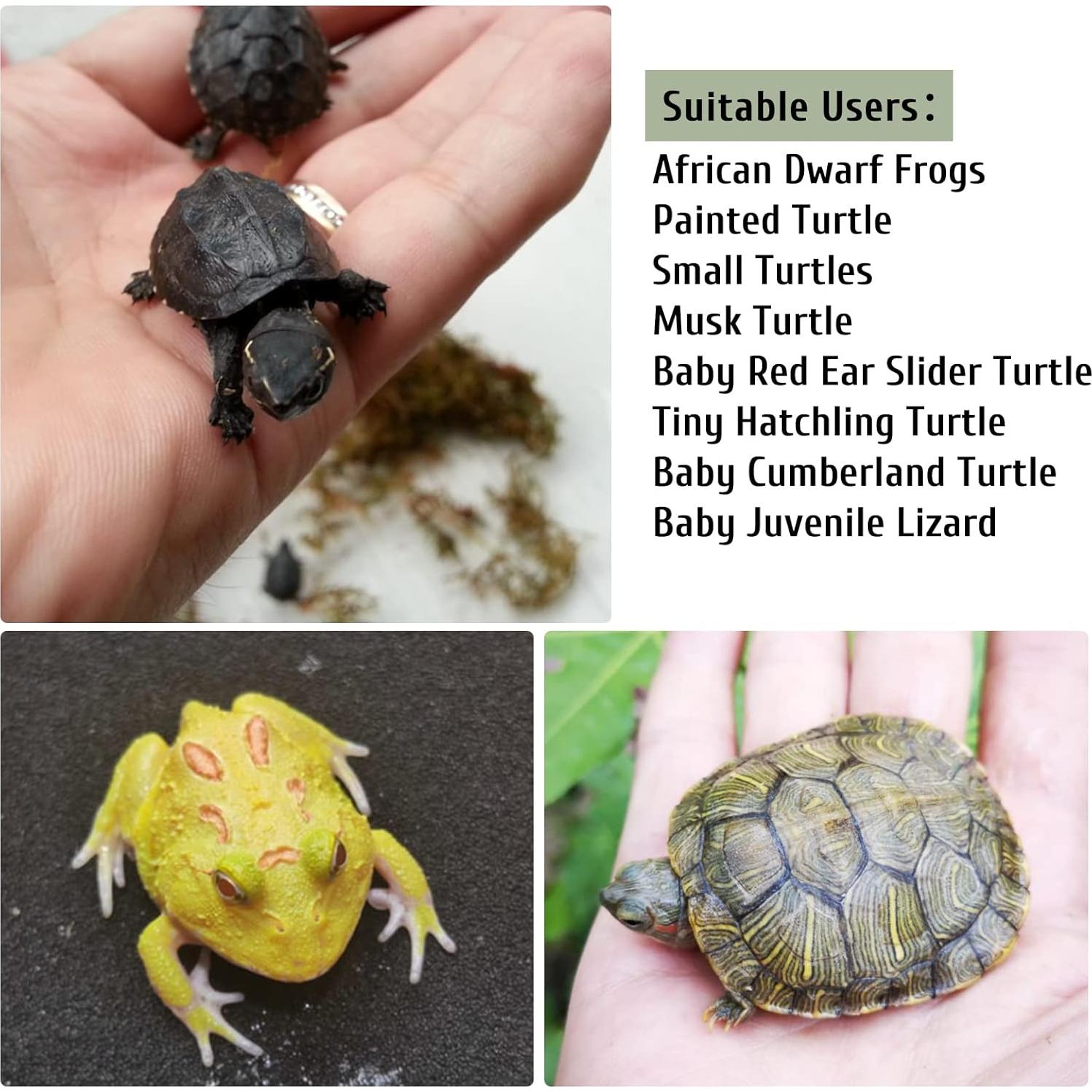 Plataforma de Sol para Tortugas PINVNBY 15.2x6.9cm Resina