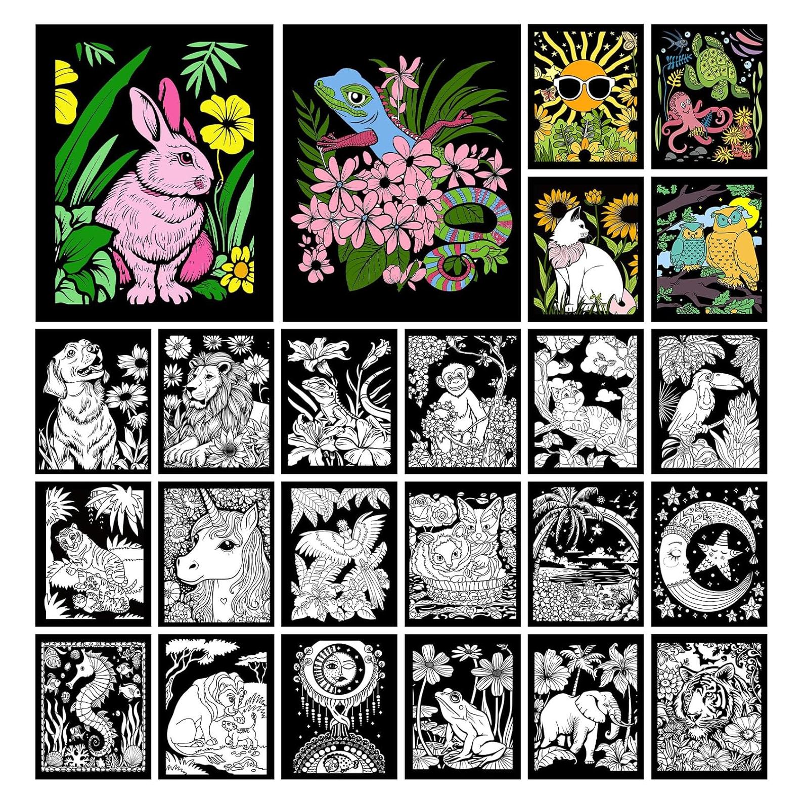 Pósteres de Colorear Terciopelo Zhanmai 48 Pcs 25x20 cm