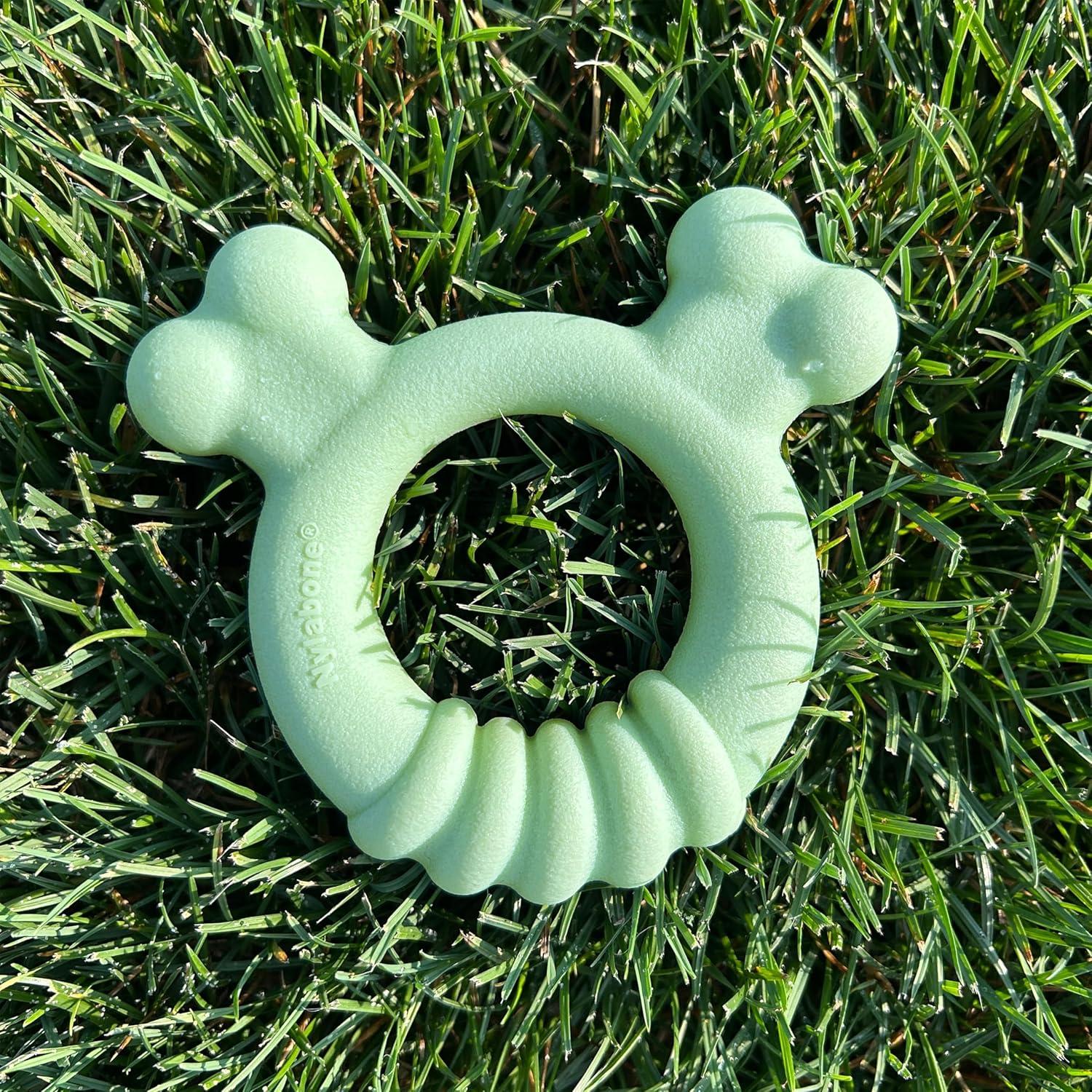 Anillo de Masticar para Cachorros Nylabone Sabor Pollo 15.2cm